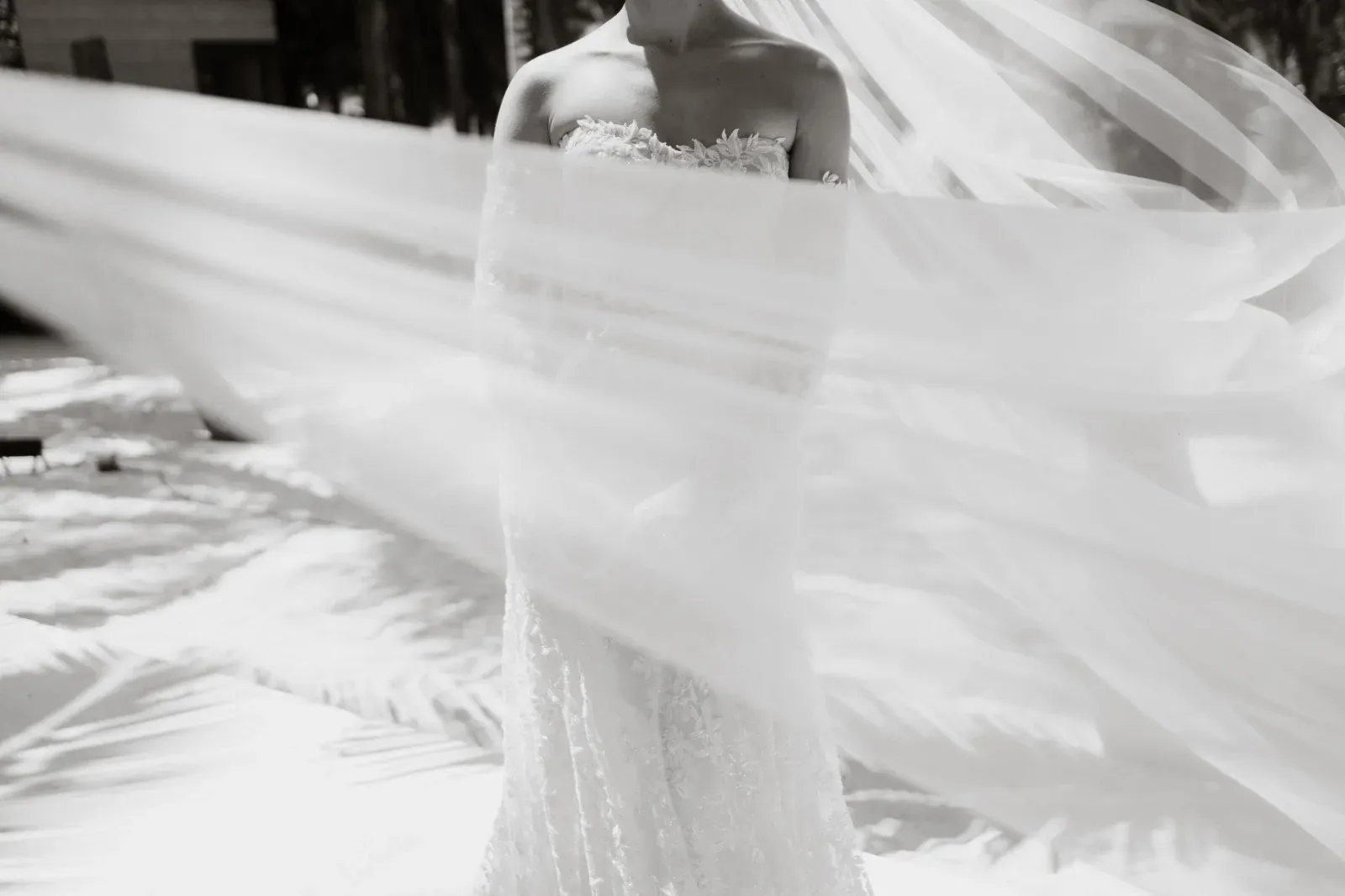 Una novia con un vestido de encaje sin tirantes se encuentra al aire libre, envuelta en un velo ondulante al viento. La imagen en blanco y negro transmite elegancia y serenidad.