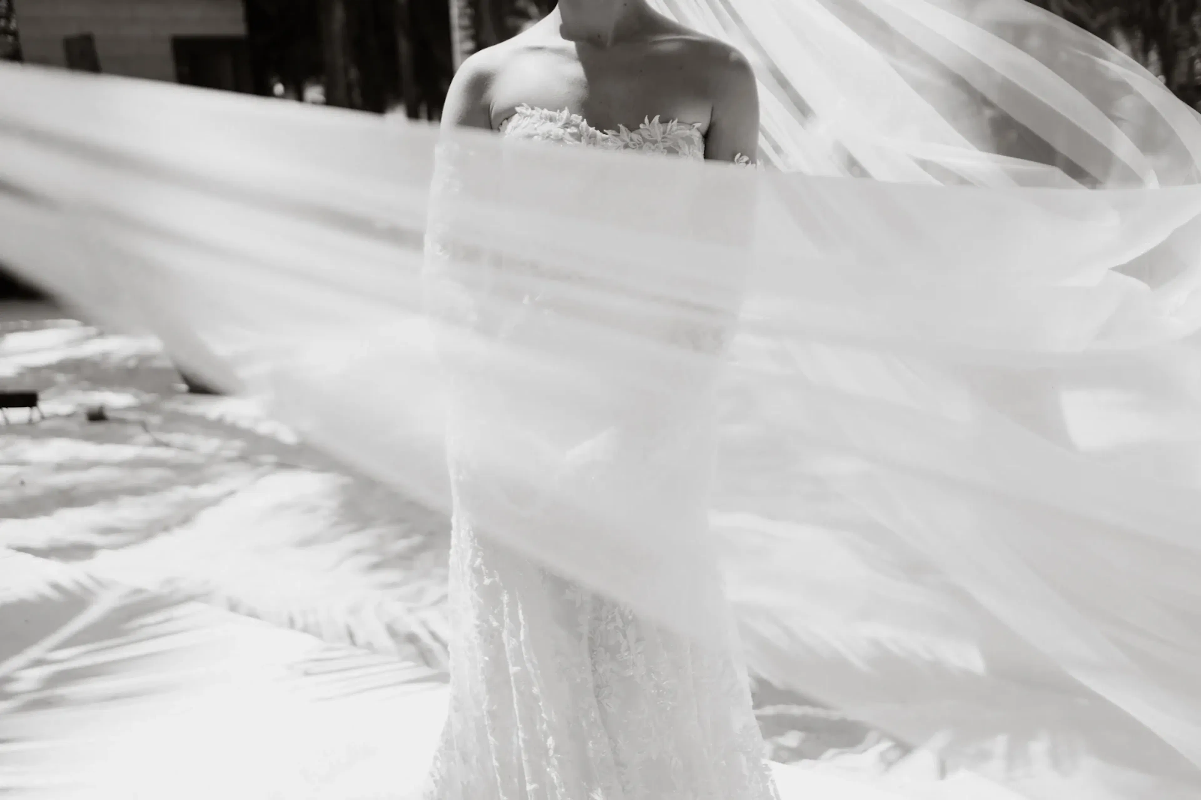 Una novia con un vestido de encaje sin tirantes se encuentra al aire libre, envuelta en un velo ondulante al viento. La imagen en blanco y negro transmite elegancia y serenidad.