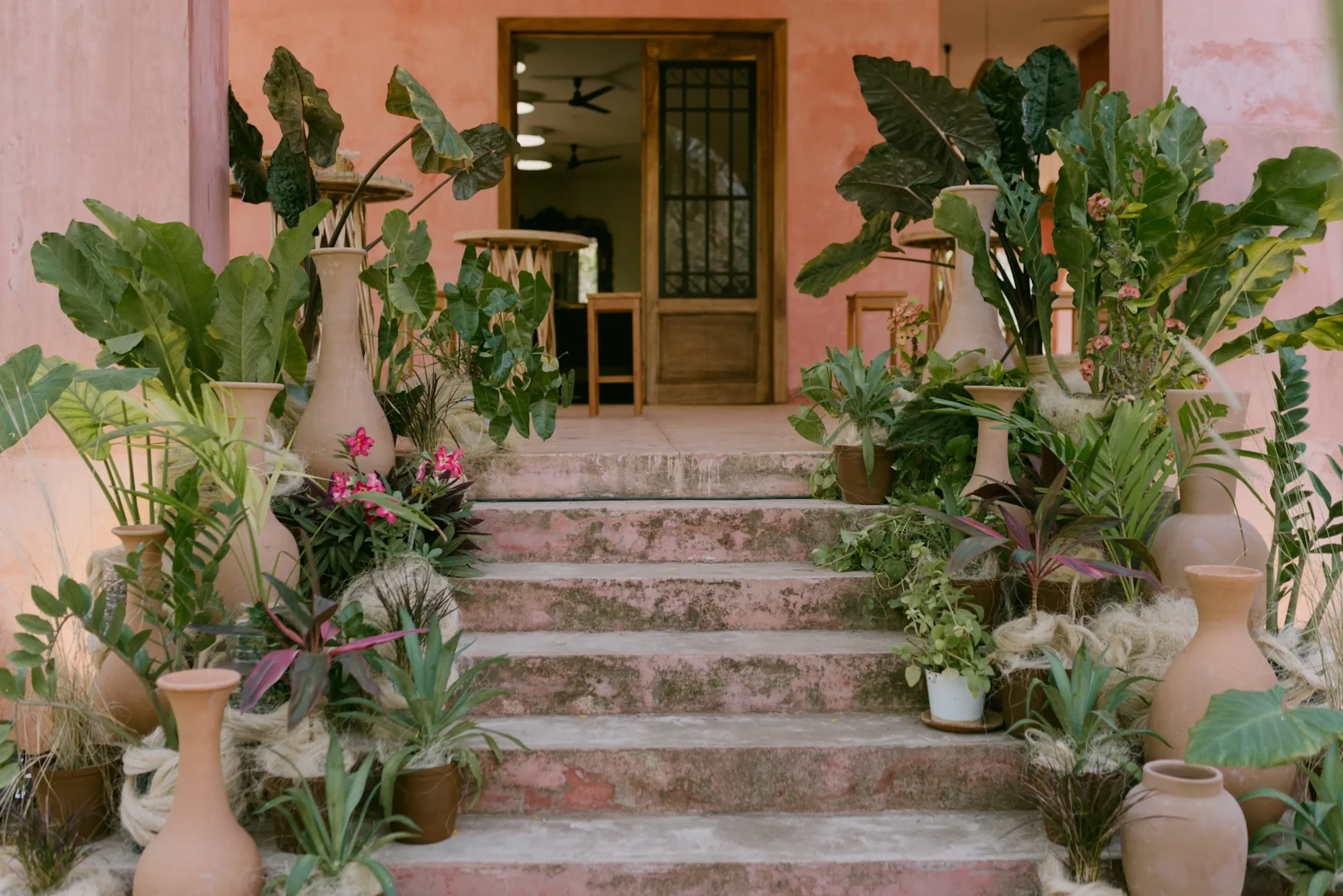Los escalones de piedra adornados con exuberante vegetación y jarrones de cerámica conducen a una puerta de madera, que irradia un ambiente acogedor y tranquilo contra una pared de color durazno.