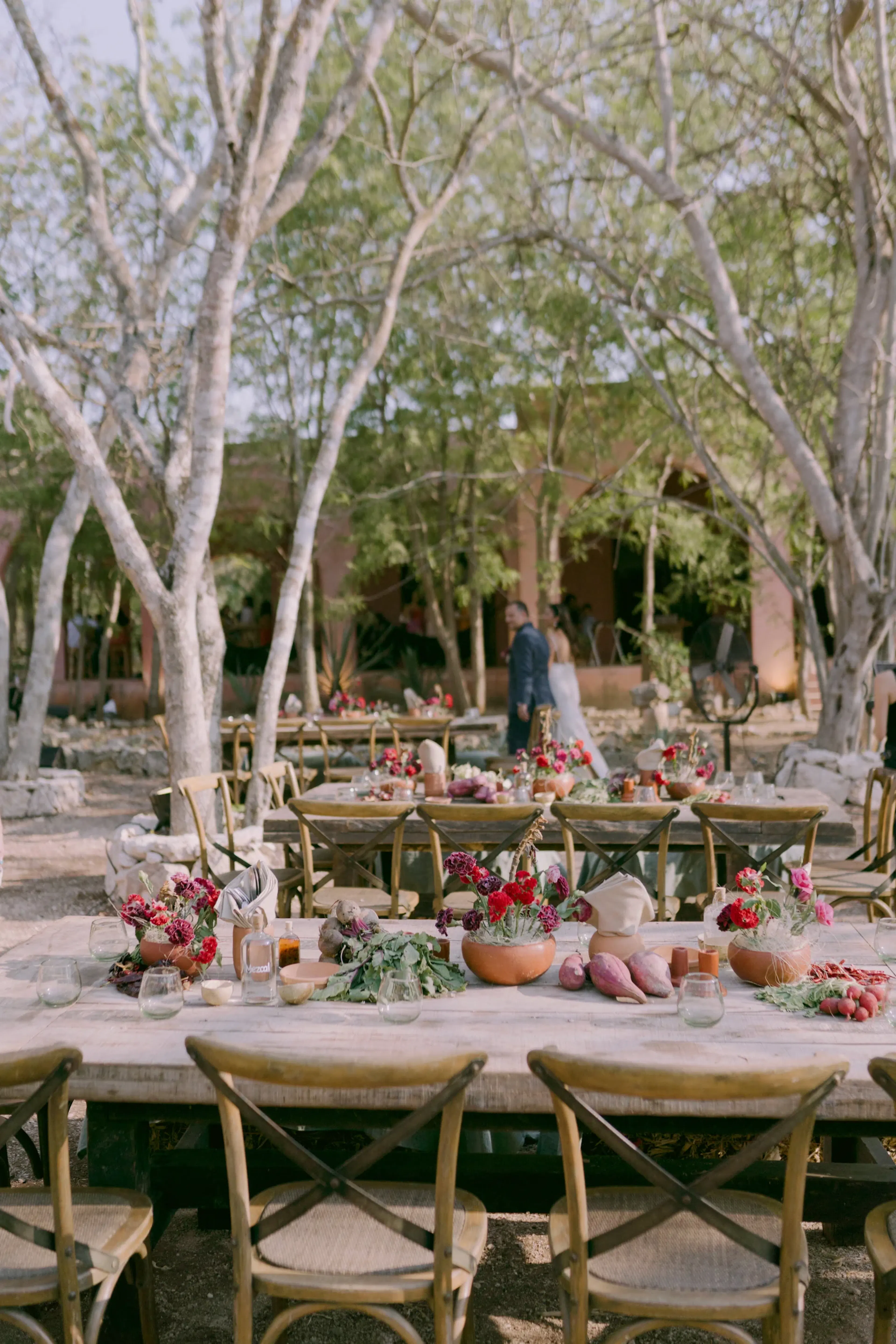 Recepción rústica de boda al aire libre bajo altos árboles. Mesas adornadas con vibrantes flores rosas, frutas y sencillas sillas de madera, creando un ambiente elegante y natural.