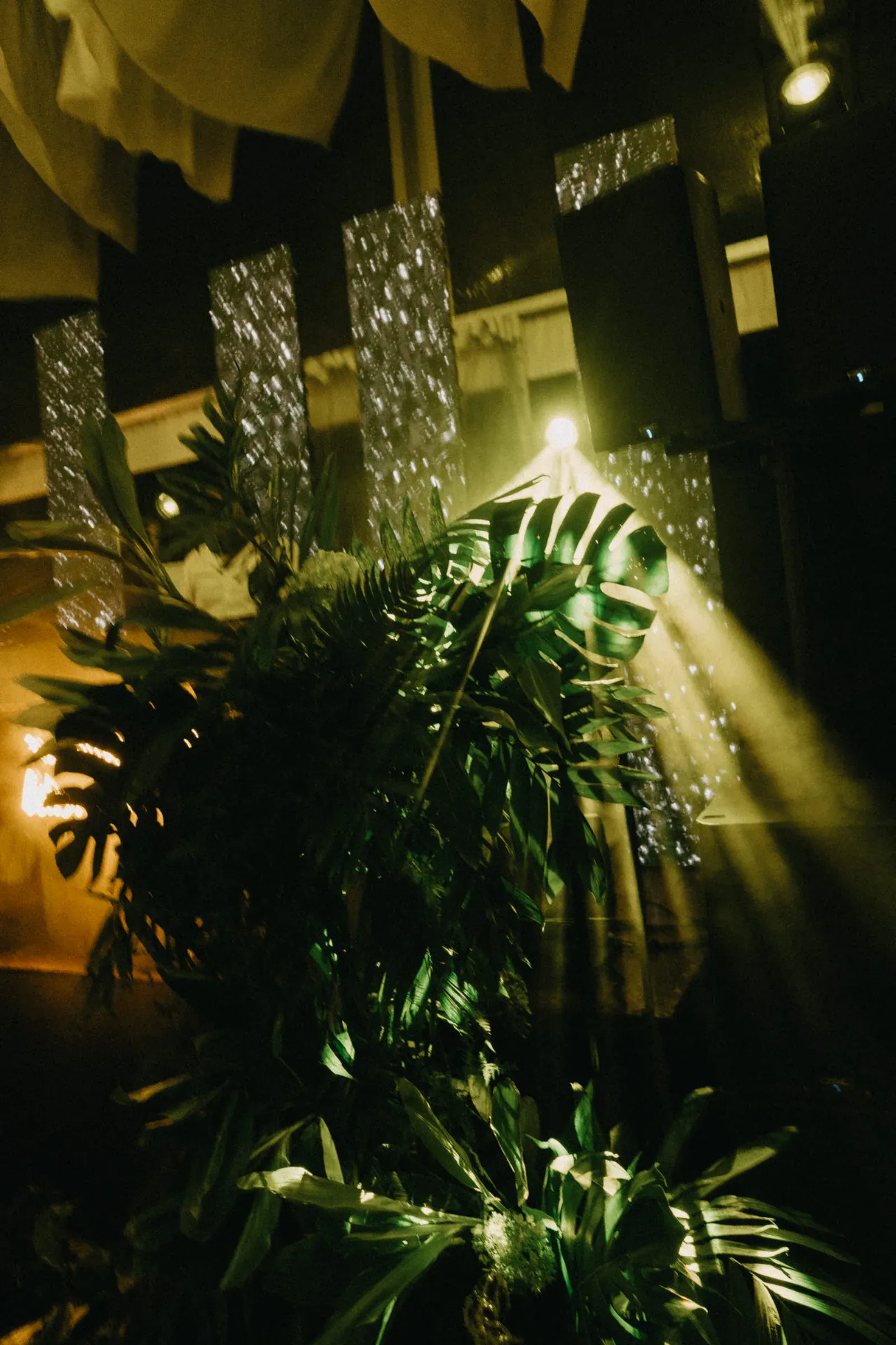 El exuberante follaje verde se ilumina con suaves y cálidos rayos de luz. Los brillantes elementos verticales y las telas drapeadas crean un ambiente sereno y elegante.