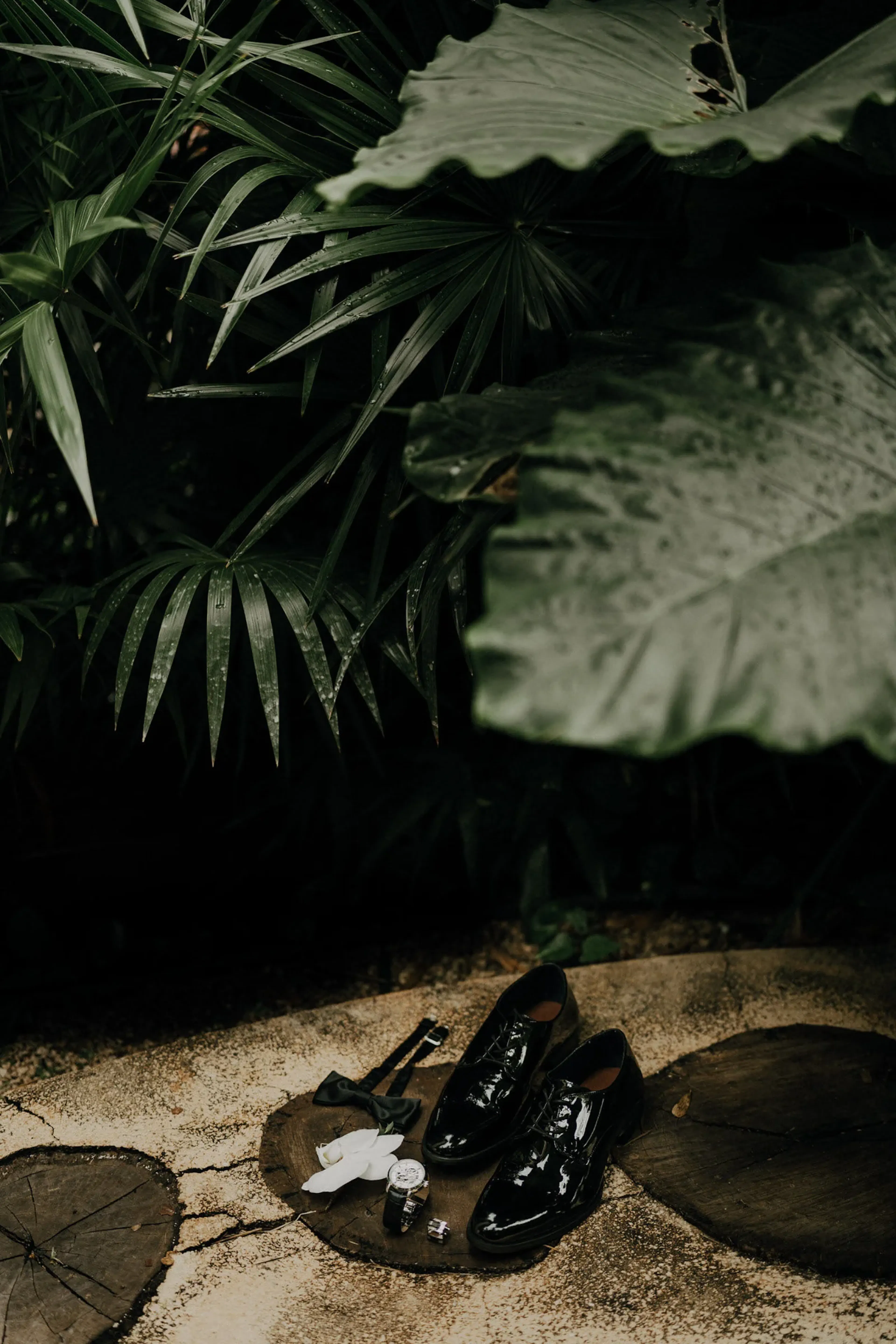 Zapatos de vestir negros brillantes, una pajarita y gemelos se colocan elegantemente sobre una superficie de piedra entre exuberantes hojas tropicales. La escena evoca calma y sofisticación.