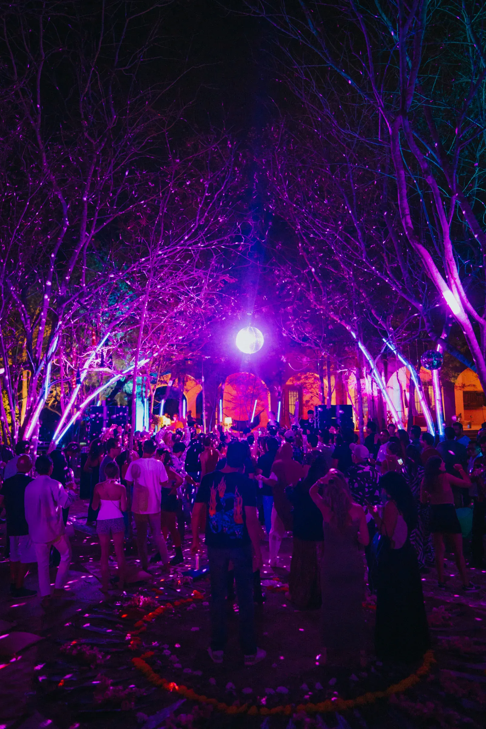 Una vibrante fiesta nocturna al aire libre en un bosque. La gente se reúne bajo árboles desnudos, iluminados por luces moradas y azules, creando un ambiente animado y mágico.