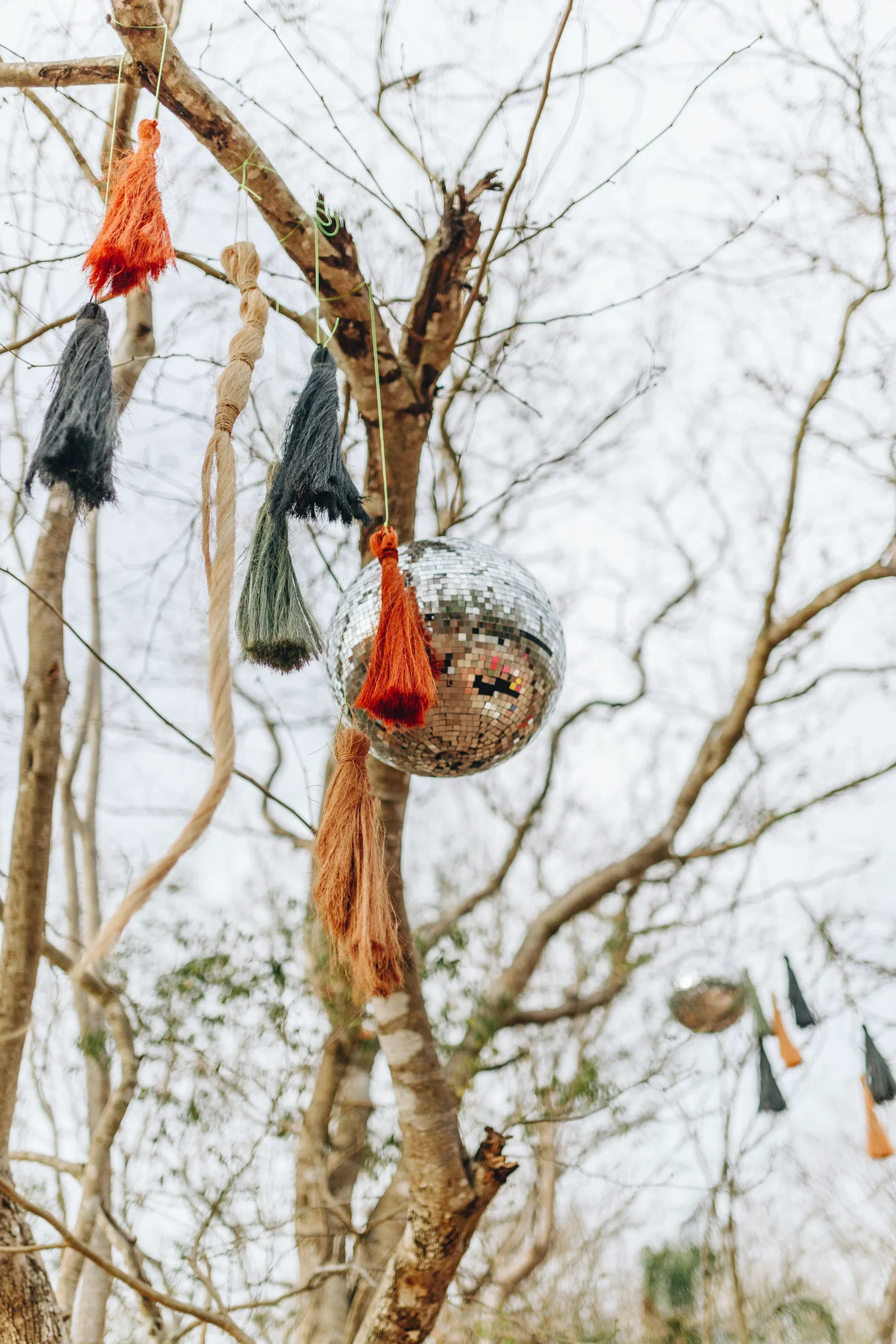 Una bola de discoteca con borlas de colores cuelga de las ramas desnudas de un árbol contra un cielo nublado, creando una escena al aire libre caprichosa y festiva.