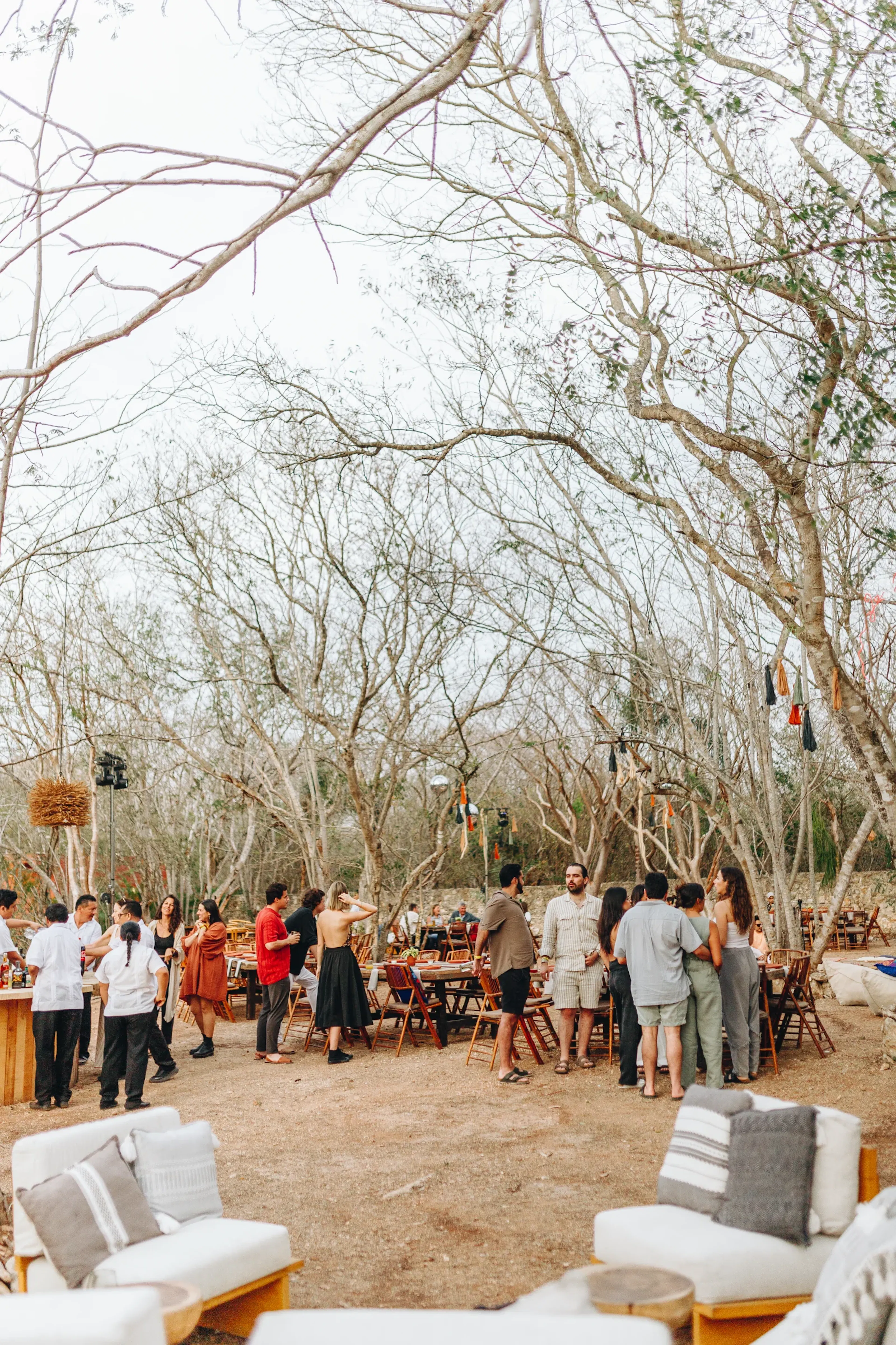 Una animada reunión al aire libre con gente reunida alrededor de mesas de madera bajo árboles desnudos, creando un ambiente rústico y festivo. Sillas con cojines en primer plano.
