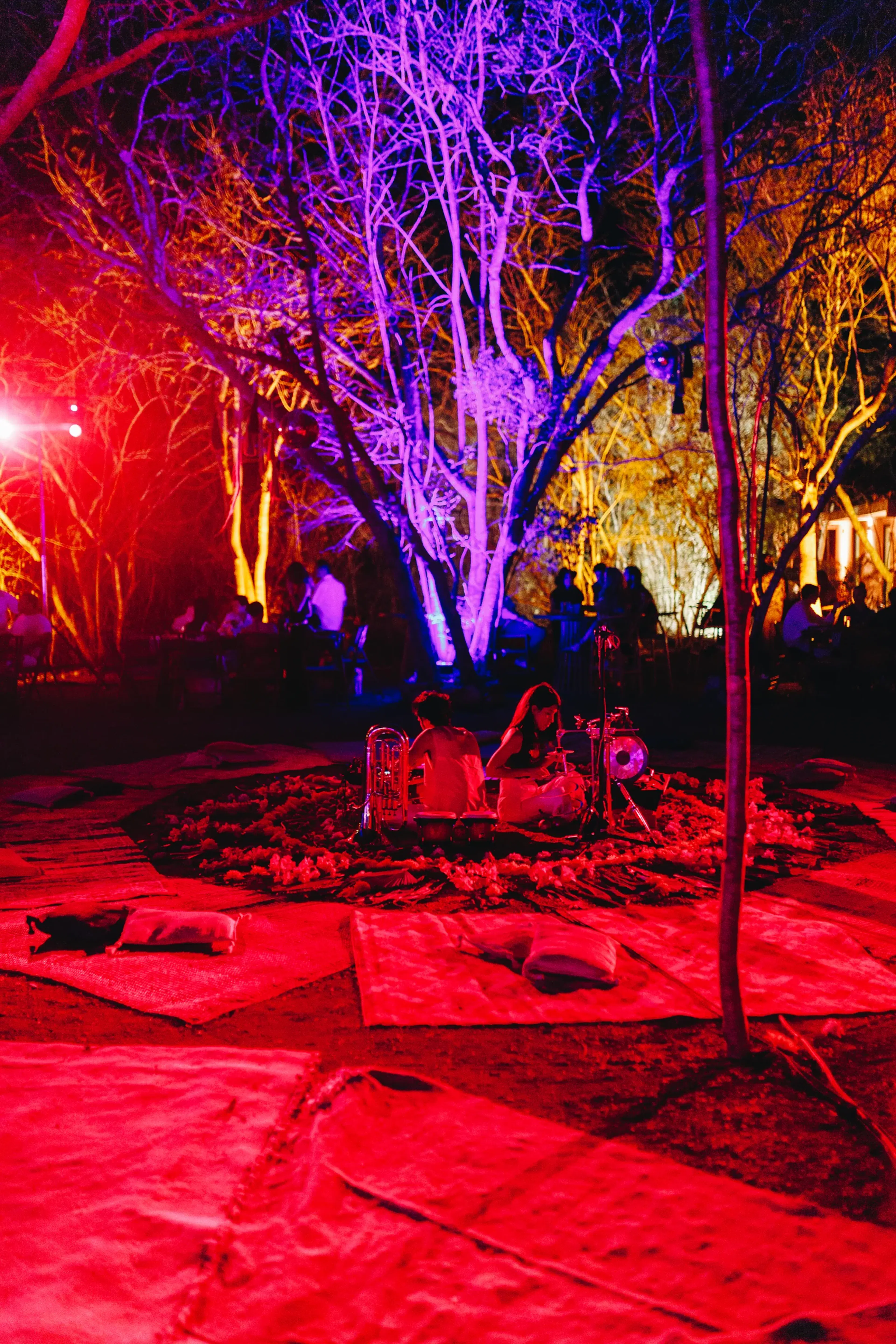 Un jardín iluminado con vibrantes luces rojas y moradas. Músicos sentados en el centro tocan instrumentos tradicionales, creando un ambiente etéreo y festivo.