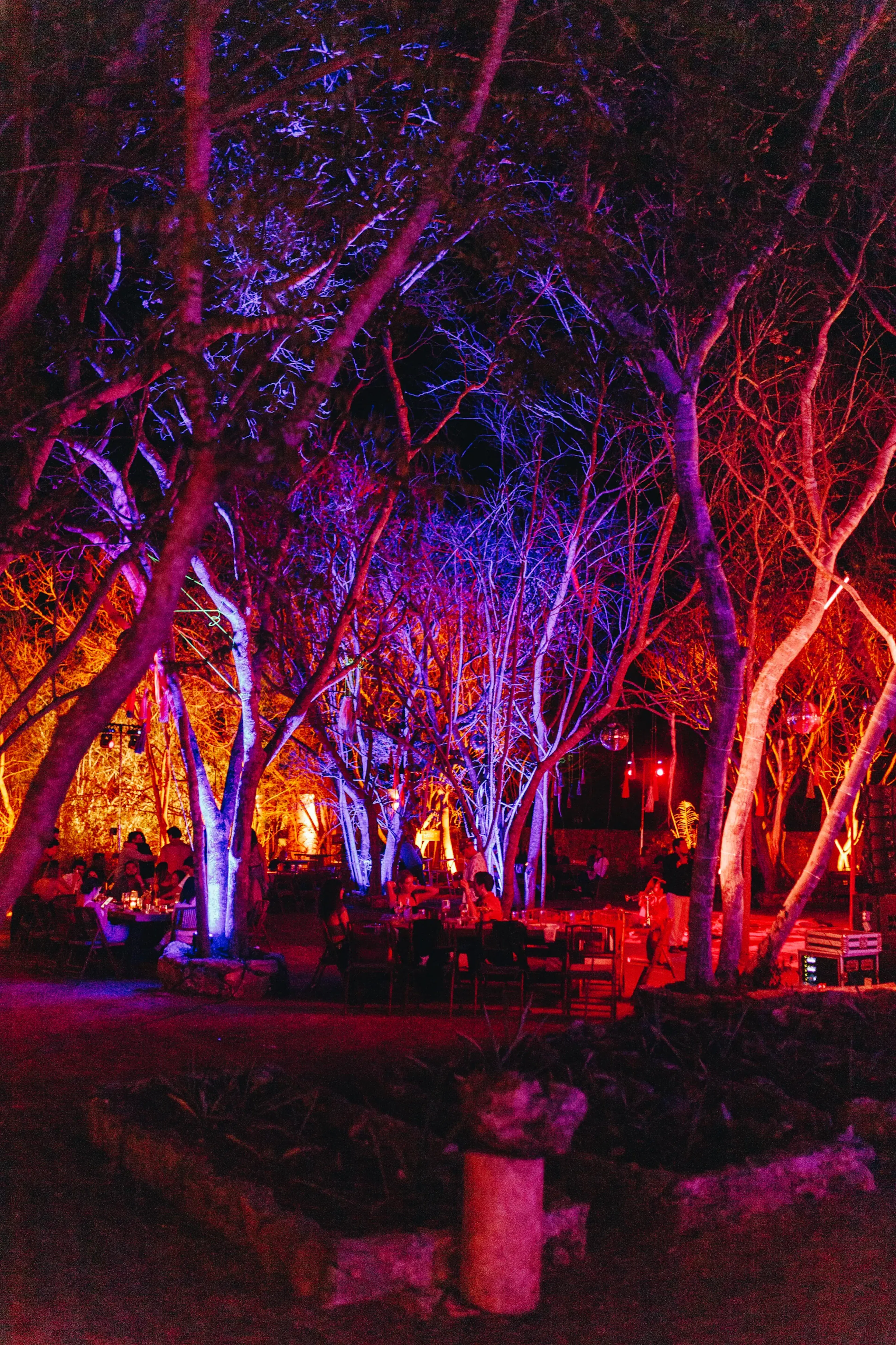 Escena de bosque con gente cenando bajo los árboles iluminados por vibrantes luces azules y naranjas, creando una atmósfera mística y festiva por la noche.