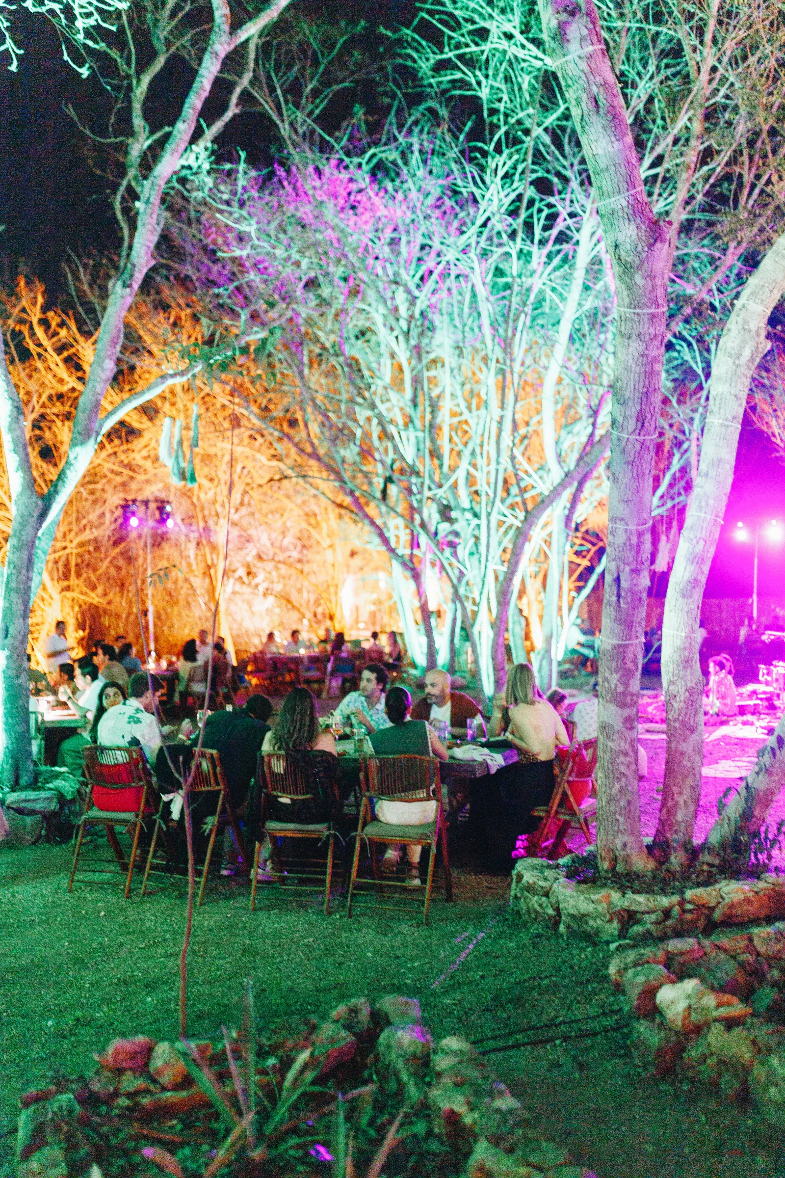 Reunión vespertina al aire libre con gente sentada en mesas bajo árboles sin hojas. Luces de colores morados, verdes y naranjas crean un ambiente festivo.