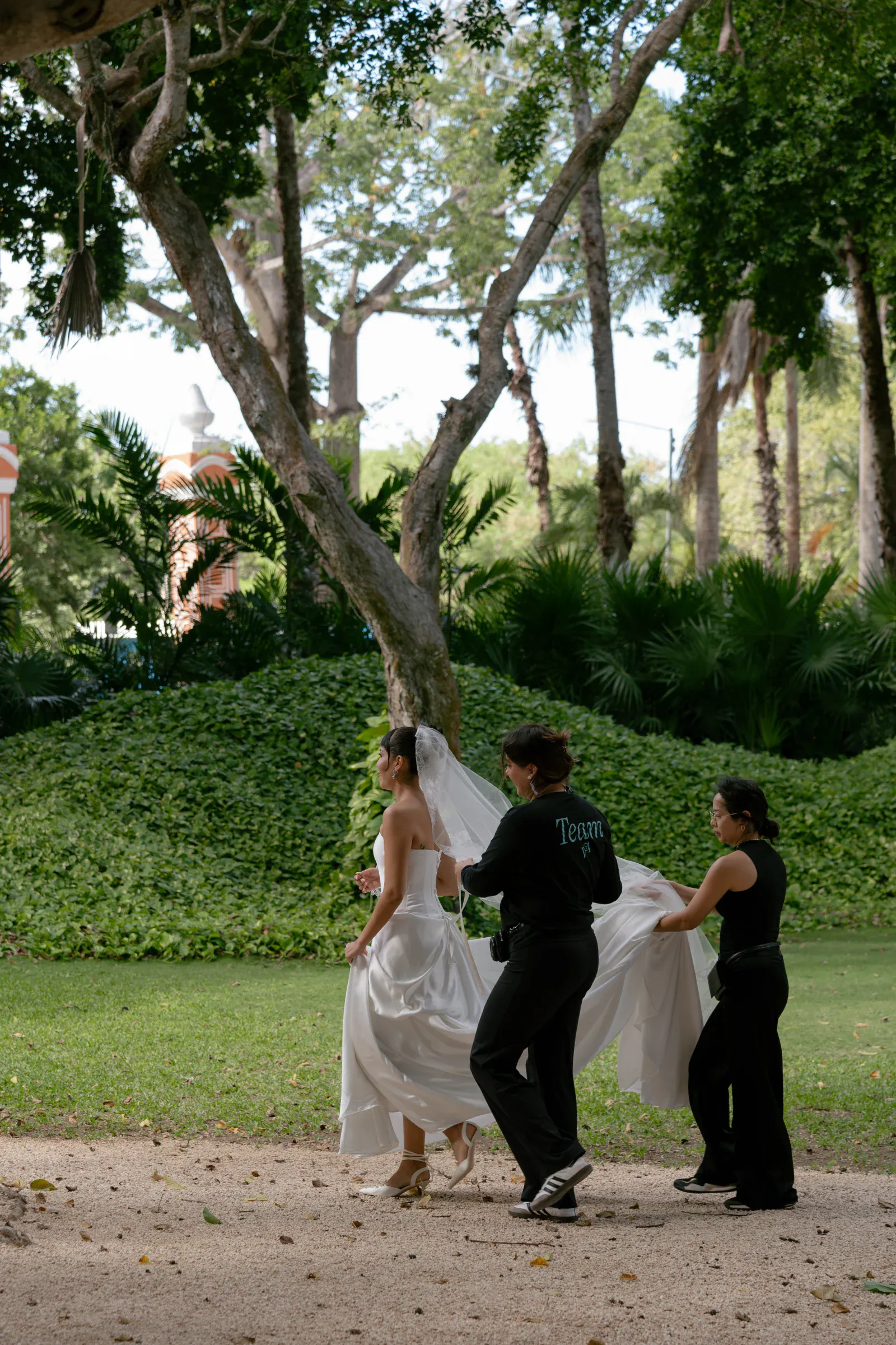 Una novia con vestido blanco y velo camina por un exuberante jardín, asistida por dos damas de honor vestidas de negro. Árboles altos y follaje verde forman el sereno telón de fondo.