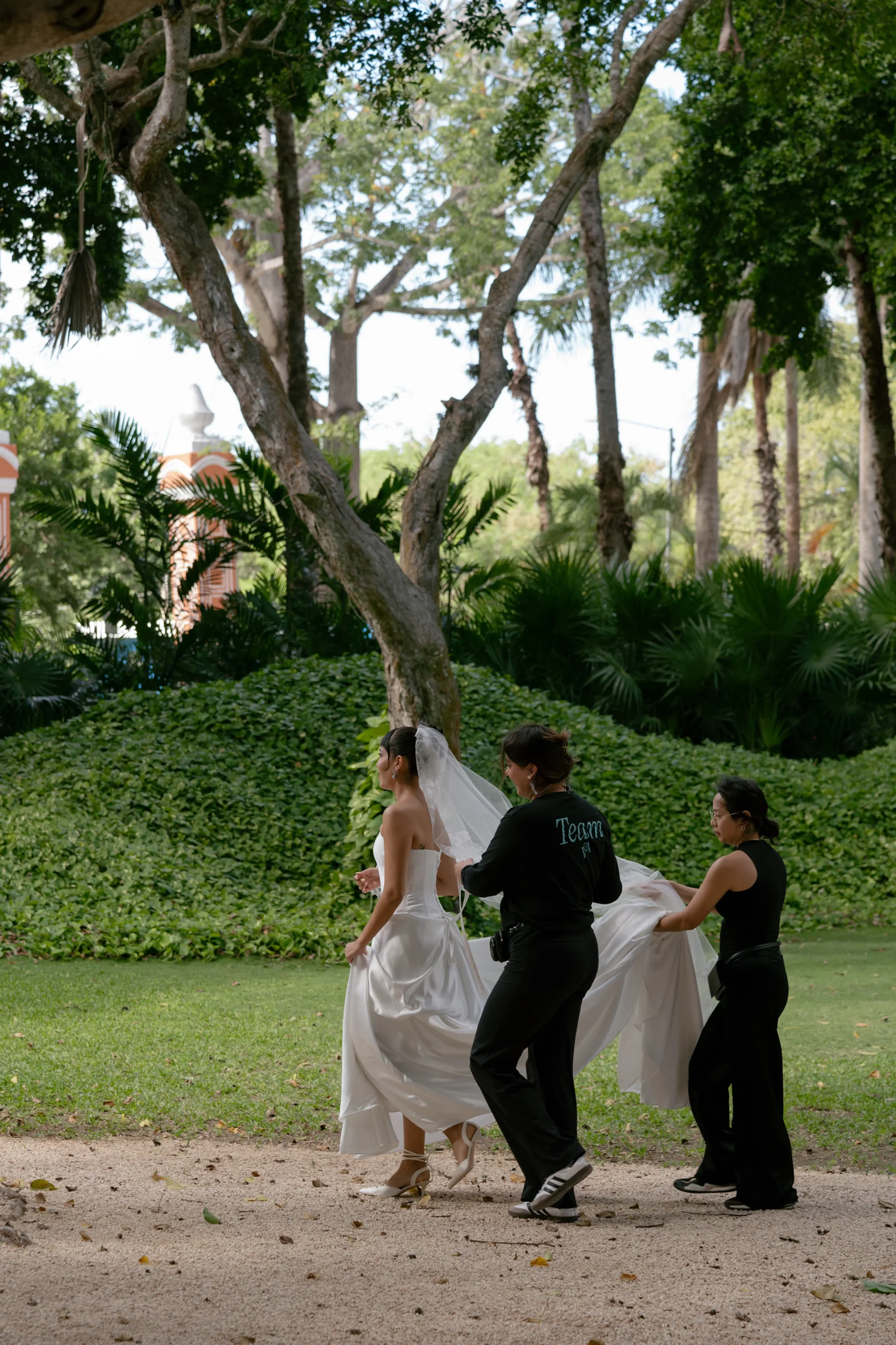Una novia con vestido blanco y velo camina por un exuberante jardín, asistida por dos damas de honor vestidas de negro. Árboles altos y follaje verde forman el sereno telón de fondo.