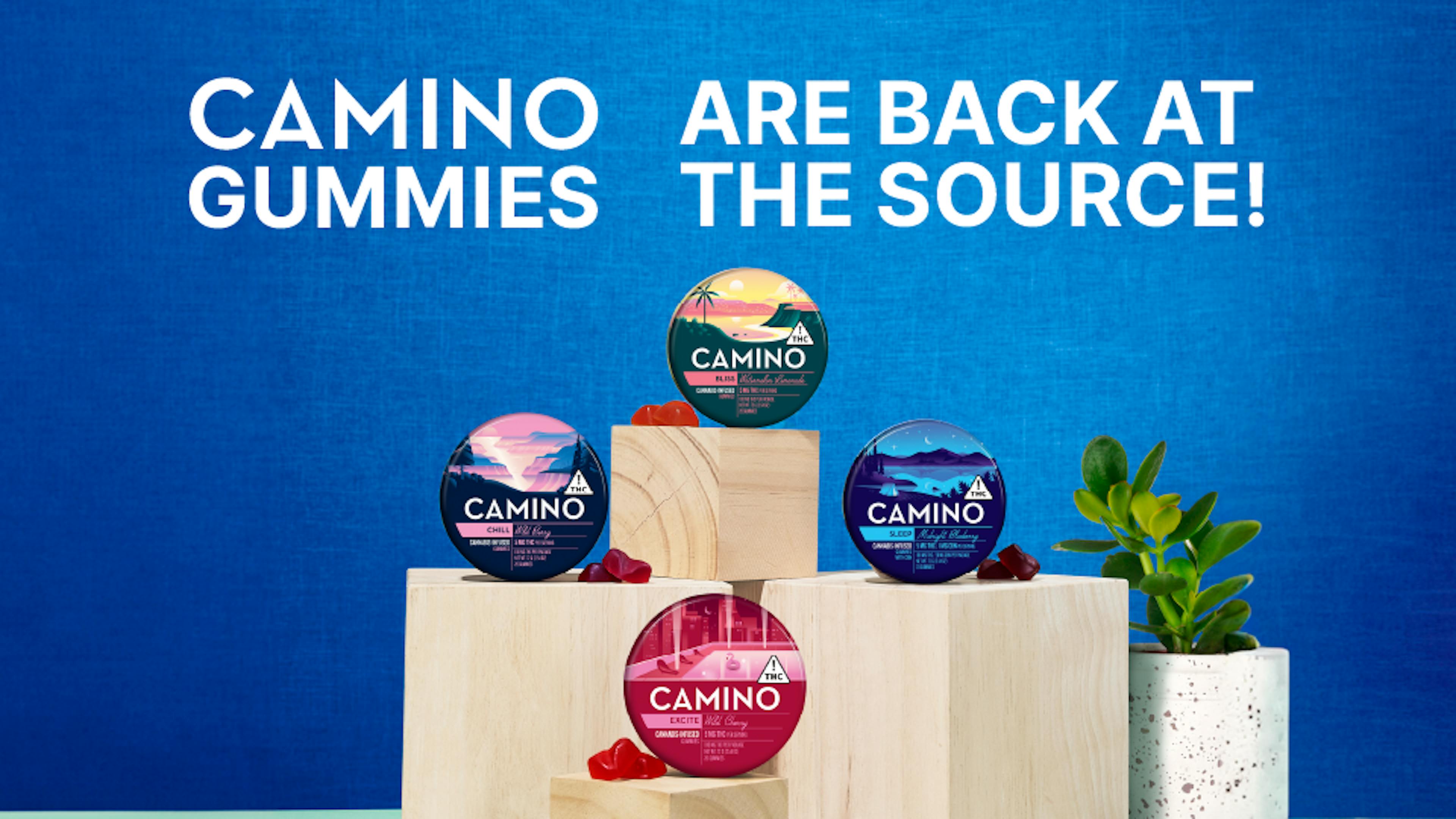 Camino Gummies Banner