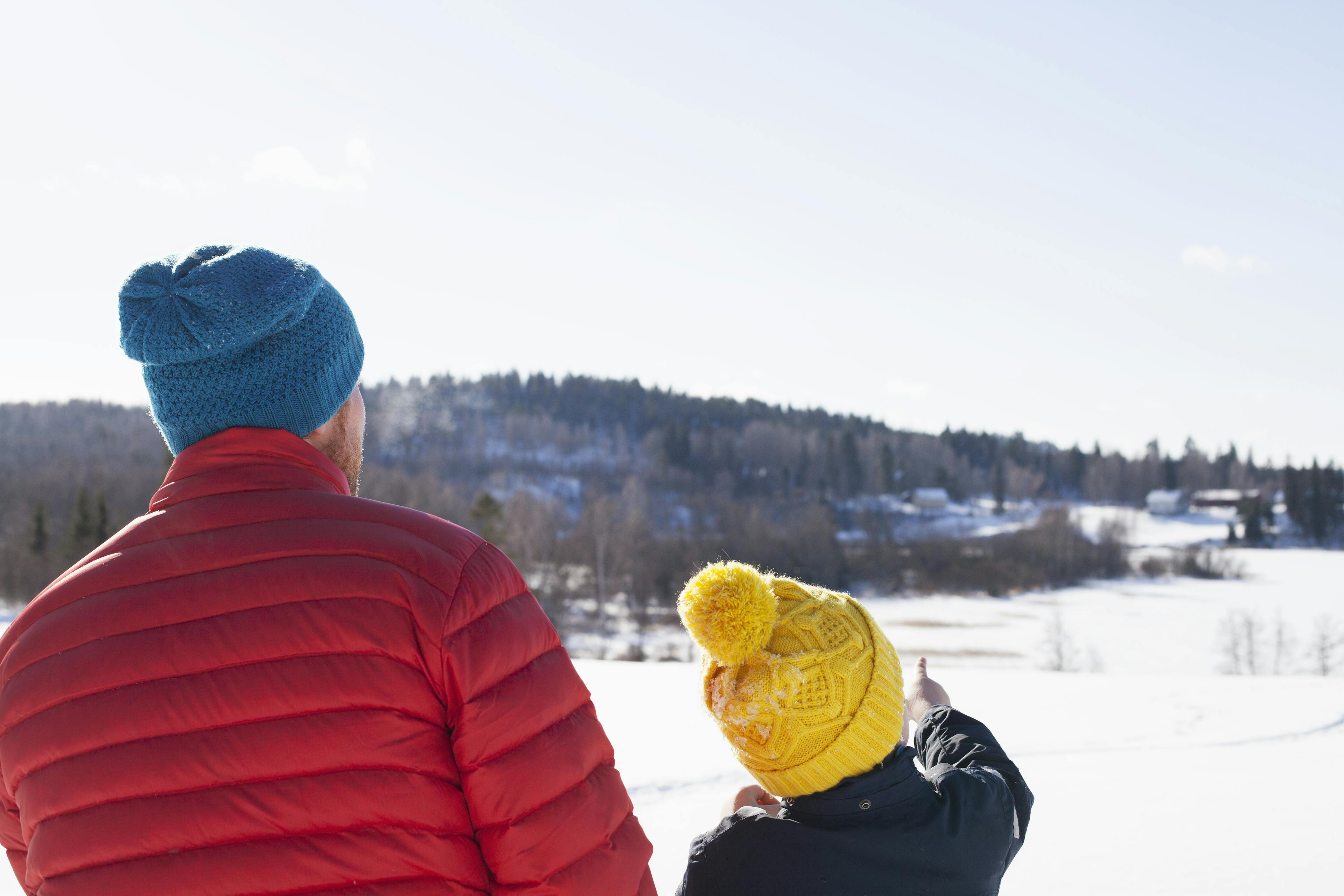 Rear view of man and son looking out and pointing