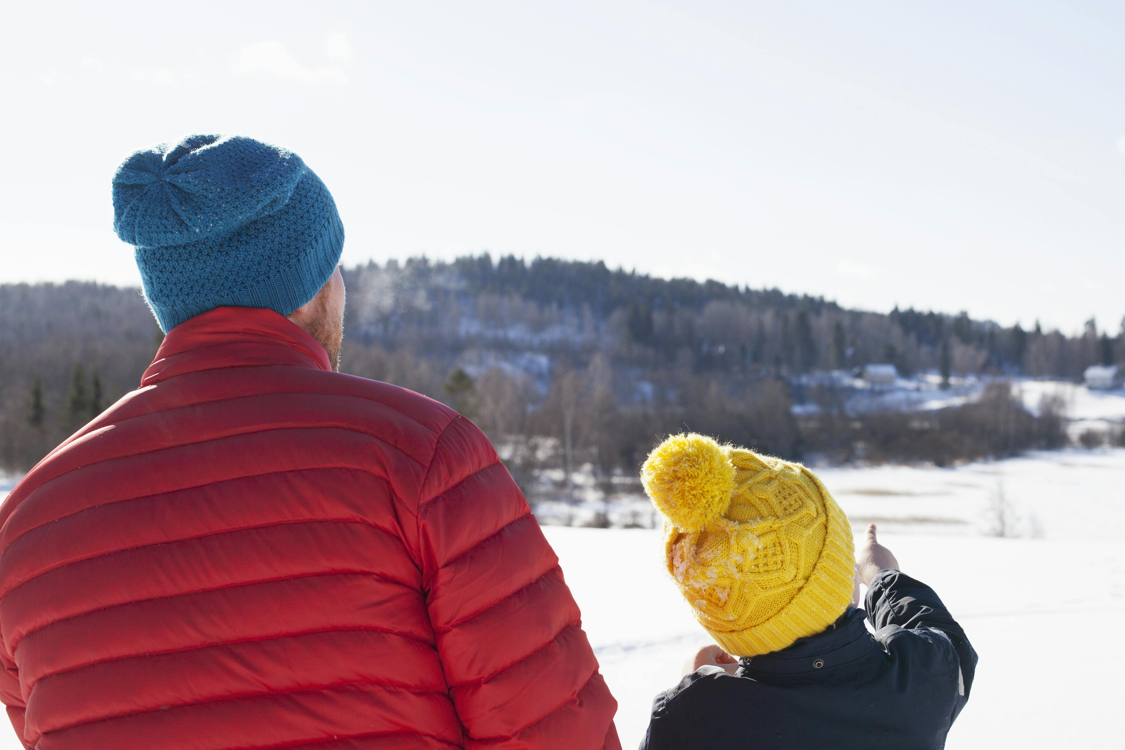 Rear view of man and son looking out and pointing