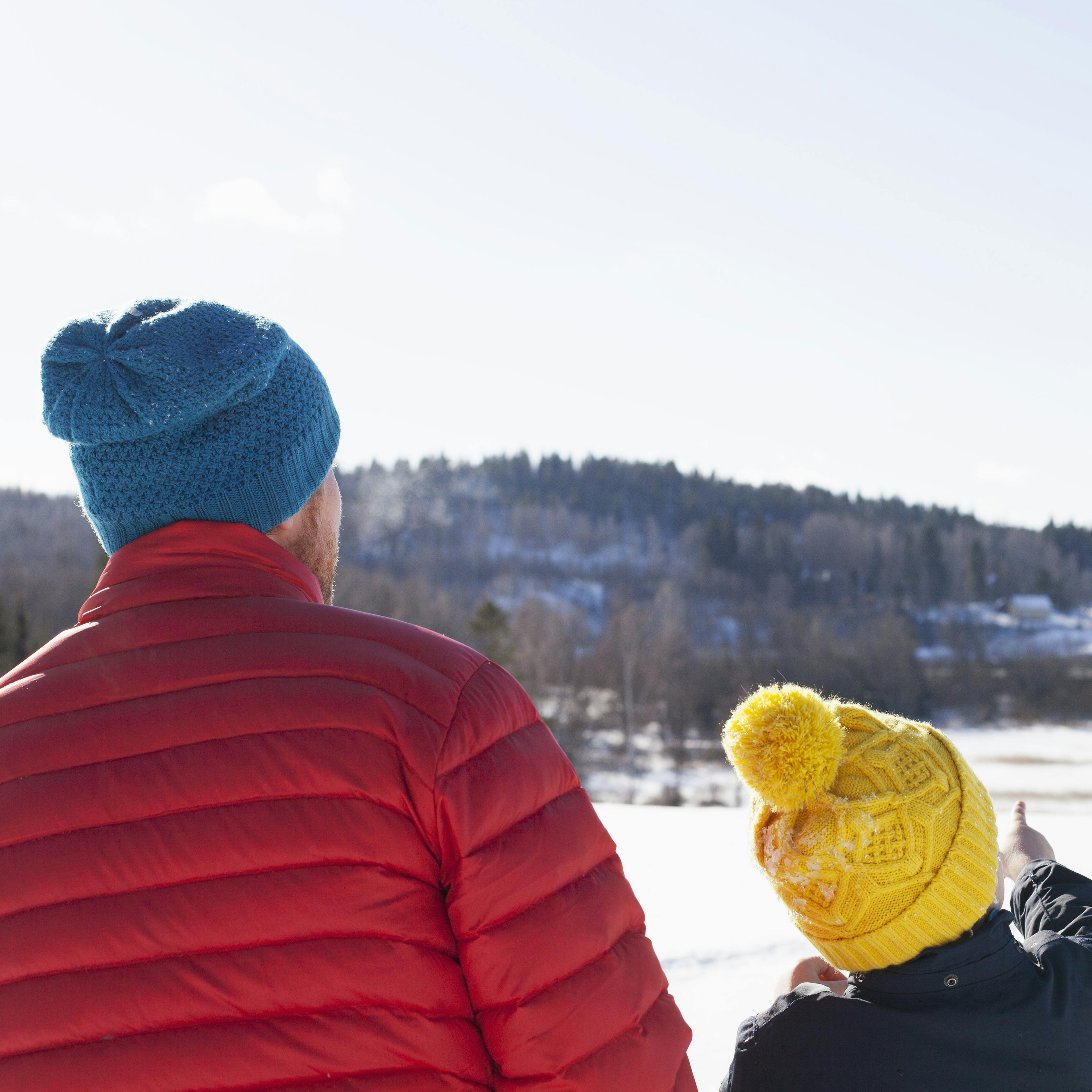 Rear view of man and son looking out and pointing