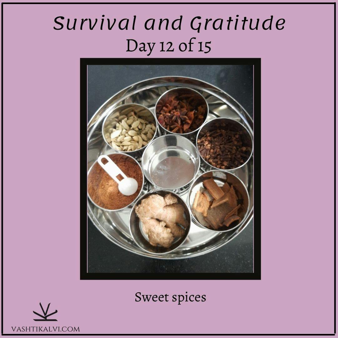 Day 12: In Gratitude to Spices