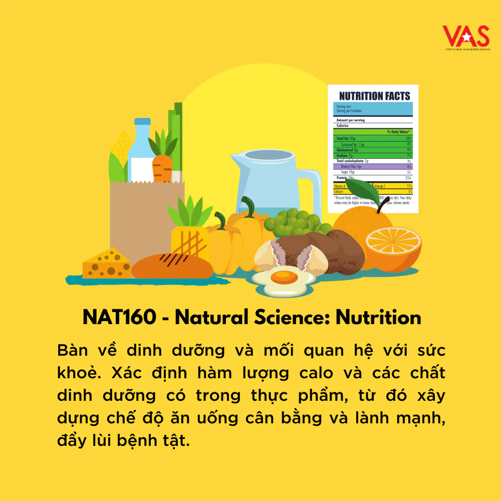 Missing alternative text