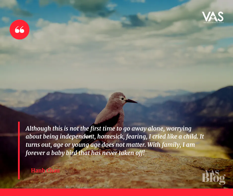 Missing alternative text