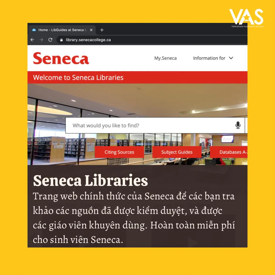 Missing alternative text