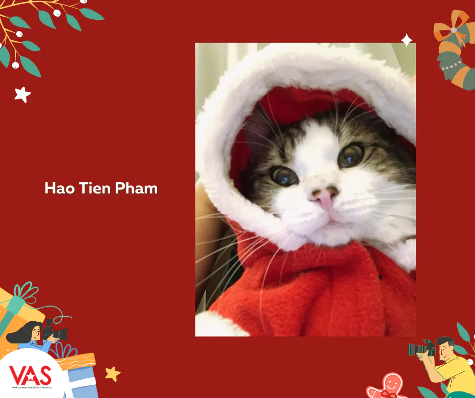 Missing alternative text