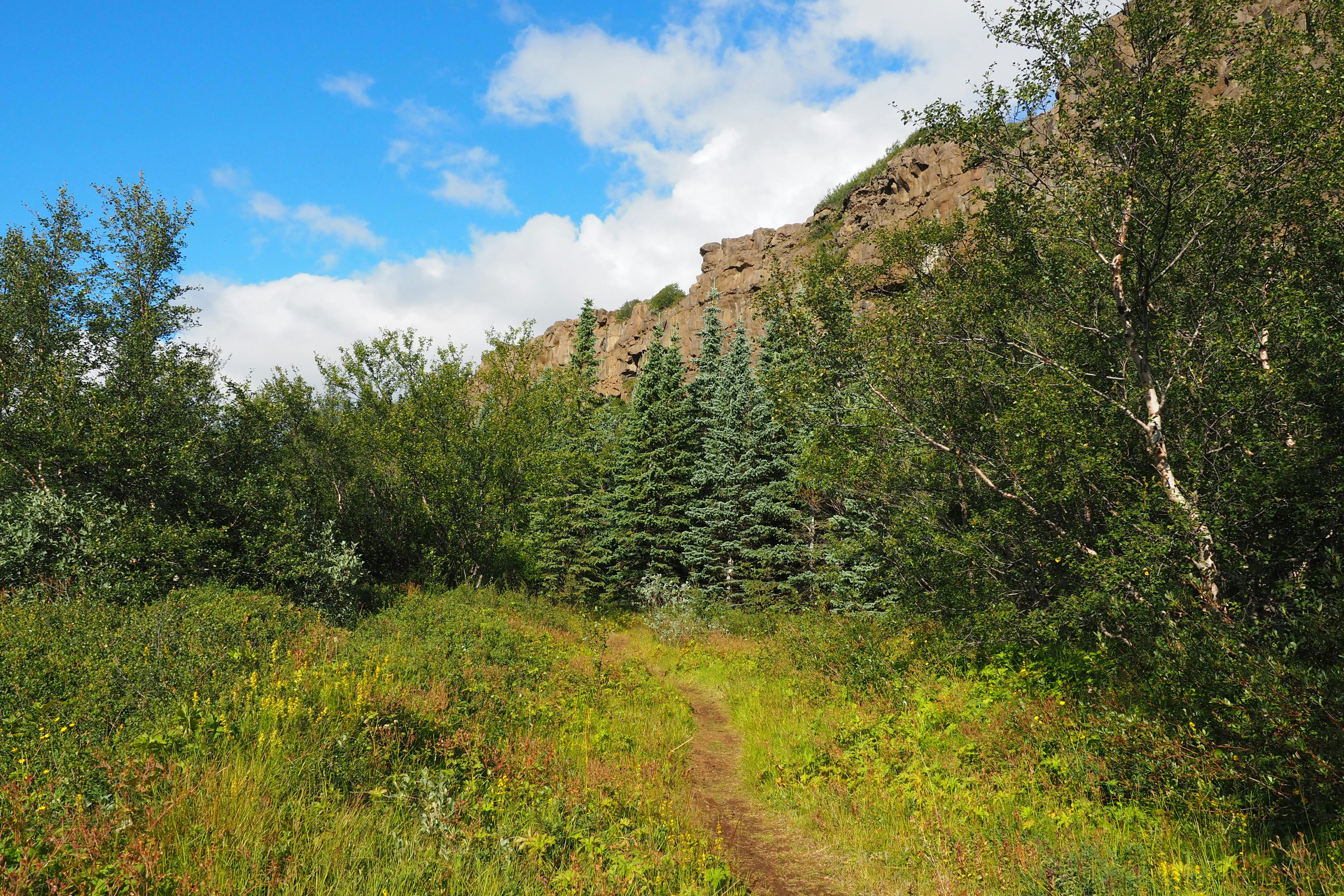 Katta klitoris bilan onlayn jinsiy aloqa