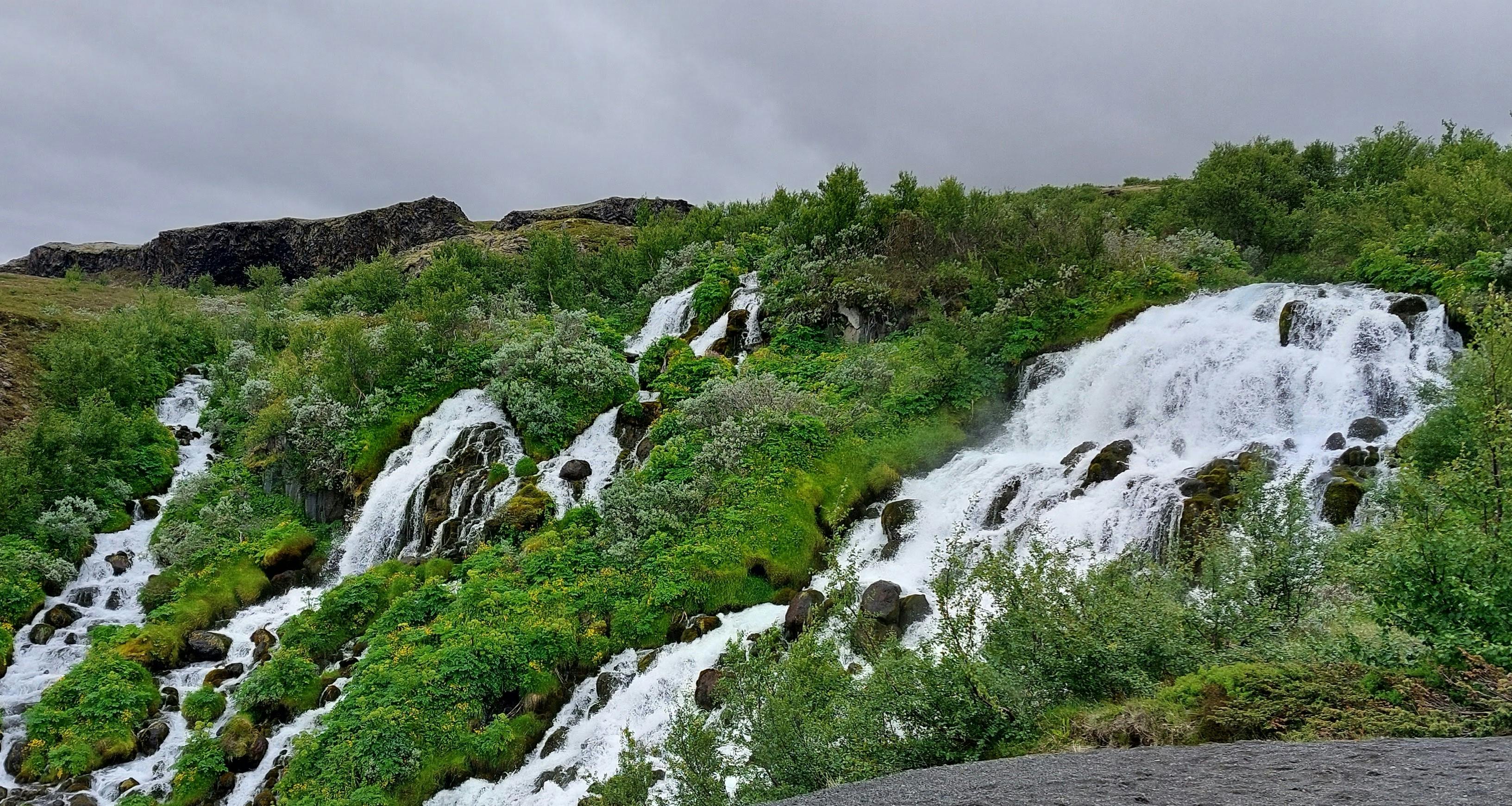 Semirib ketayotgan semiz ayollar suratlari