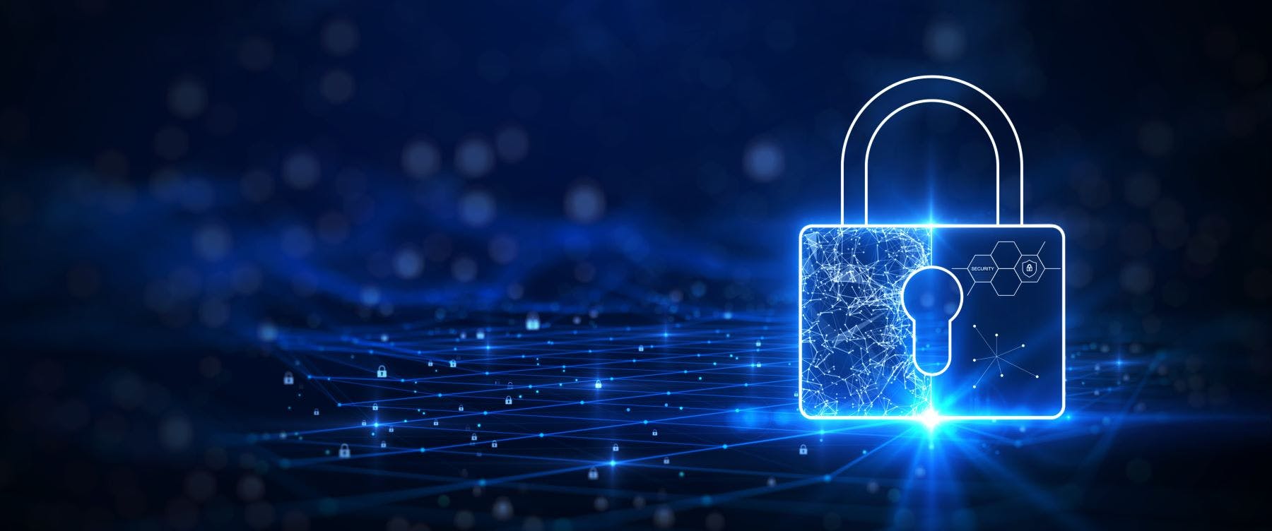 How can software be protected