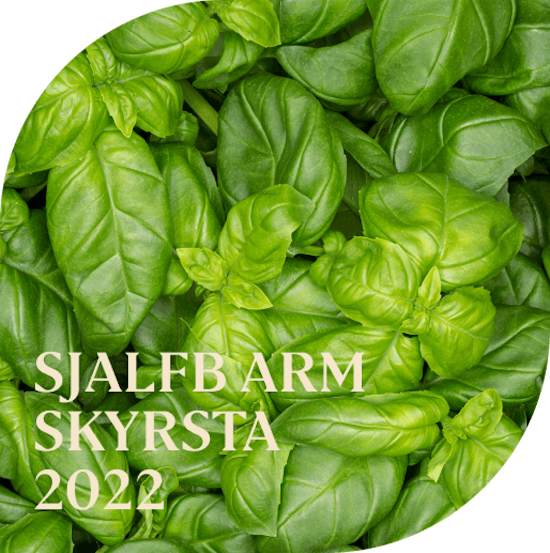 Sjálfbærniskýrsla 2022