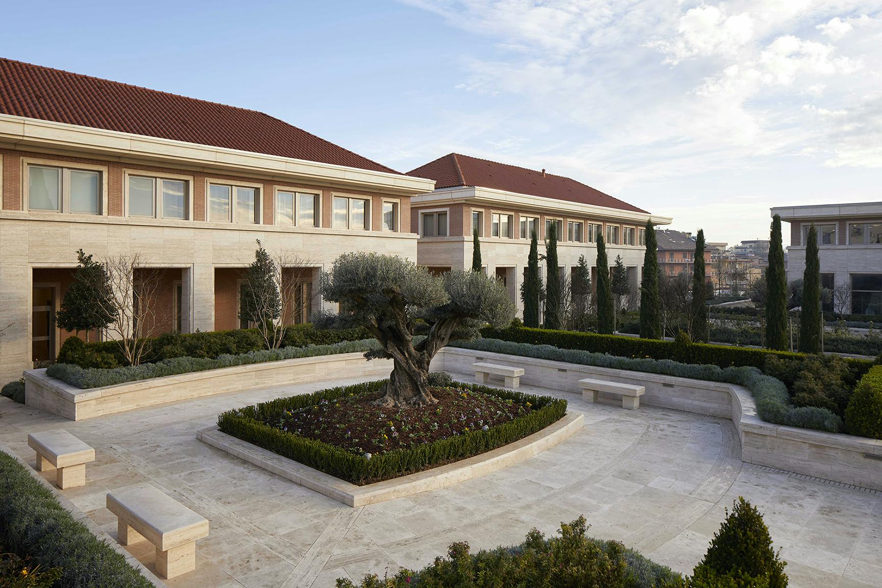 Temple grounds with olive trees.