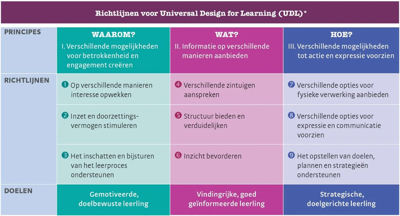 Afbeelding met tips over UDL