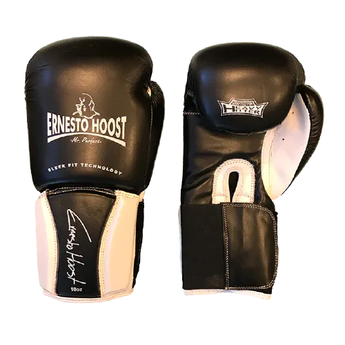 Ernesto Hoost Pro Fight (Kick)Bokshandschoenen - Wit