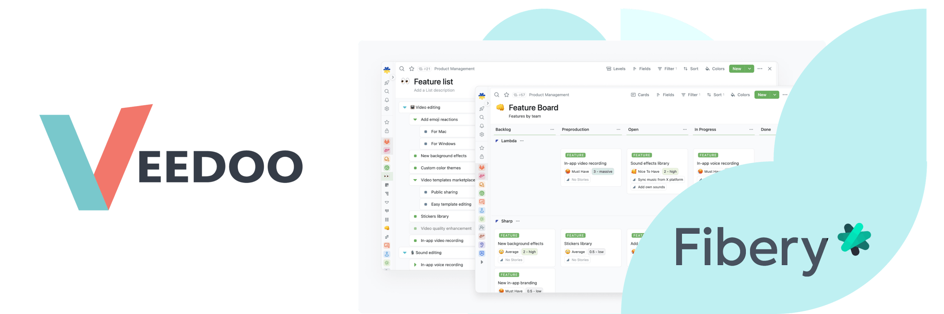 In the picture - Veedoo logo and screens of Fibery