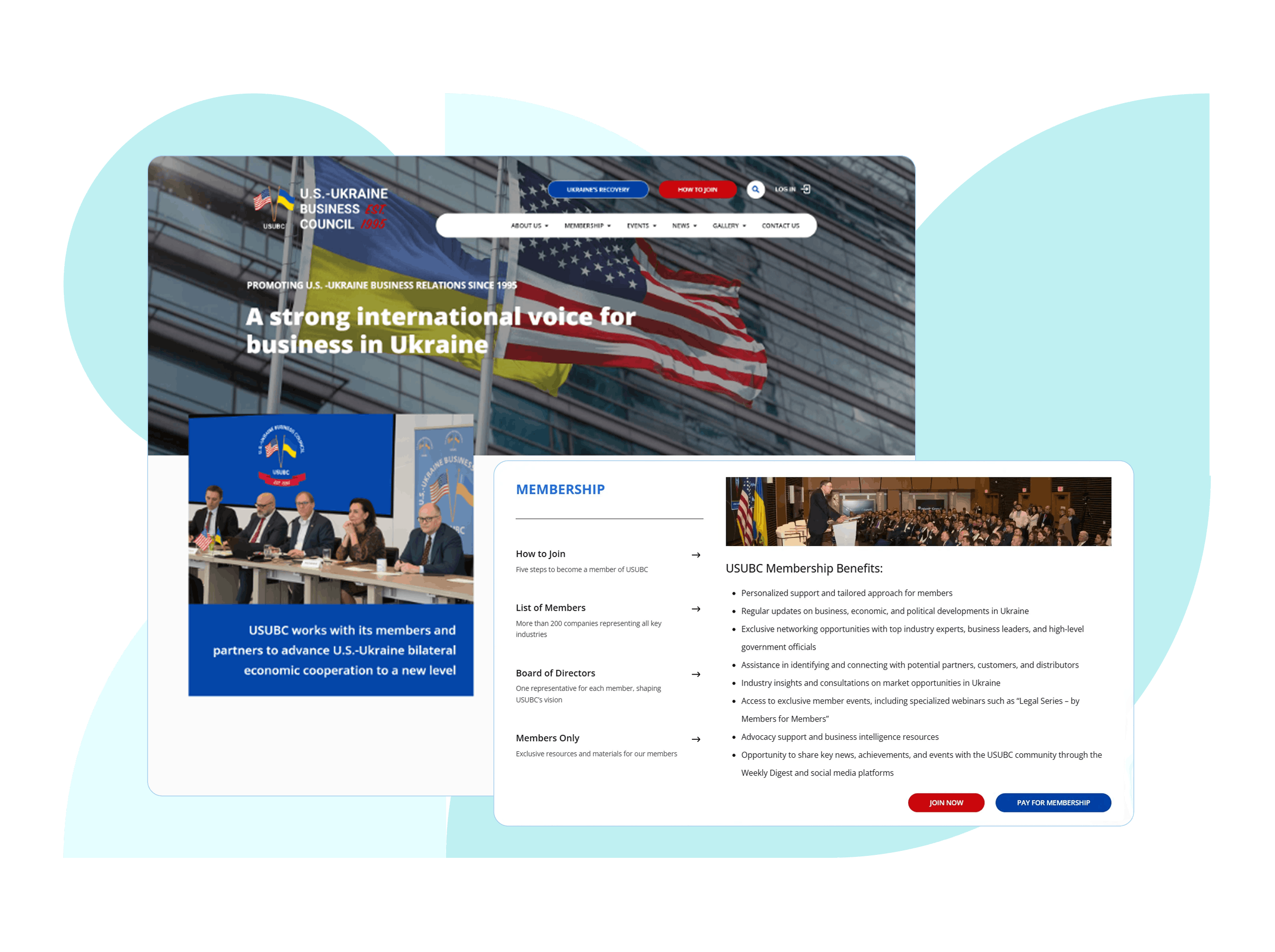 In the picture - screen US-Ukraine Bussiness Council site