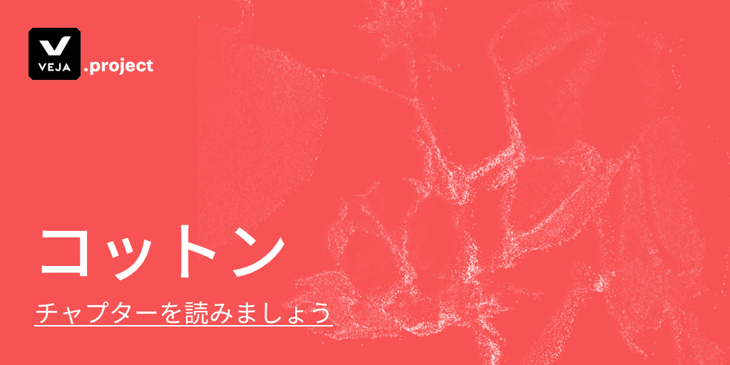 オーガニックコットン | VEJA