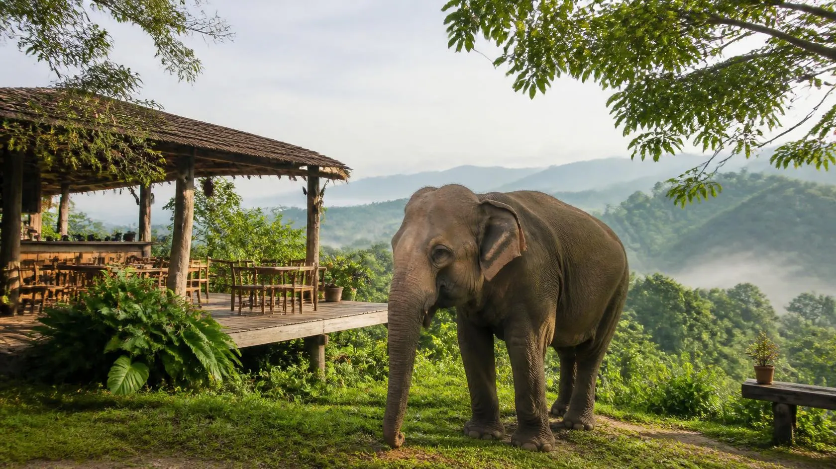Gentle Elephant & Eco-Craft Day – Senior-Friendly Private Tour from Chiang Mai tour image