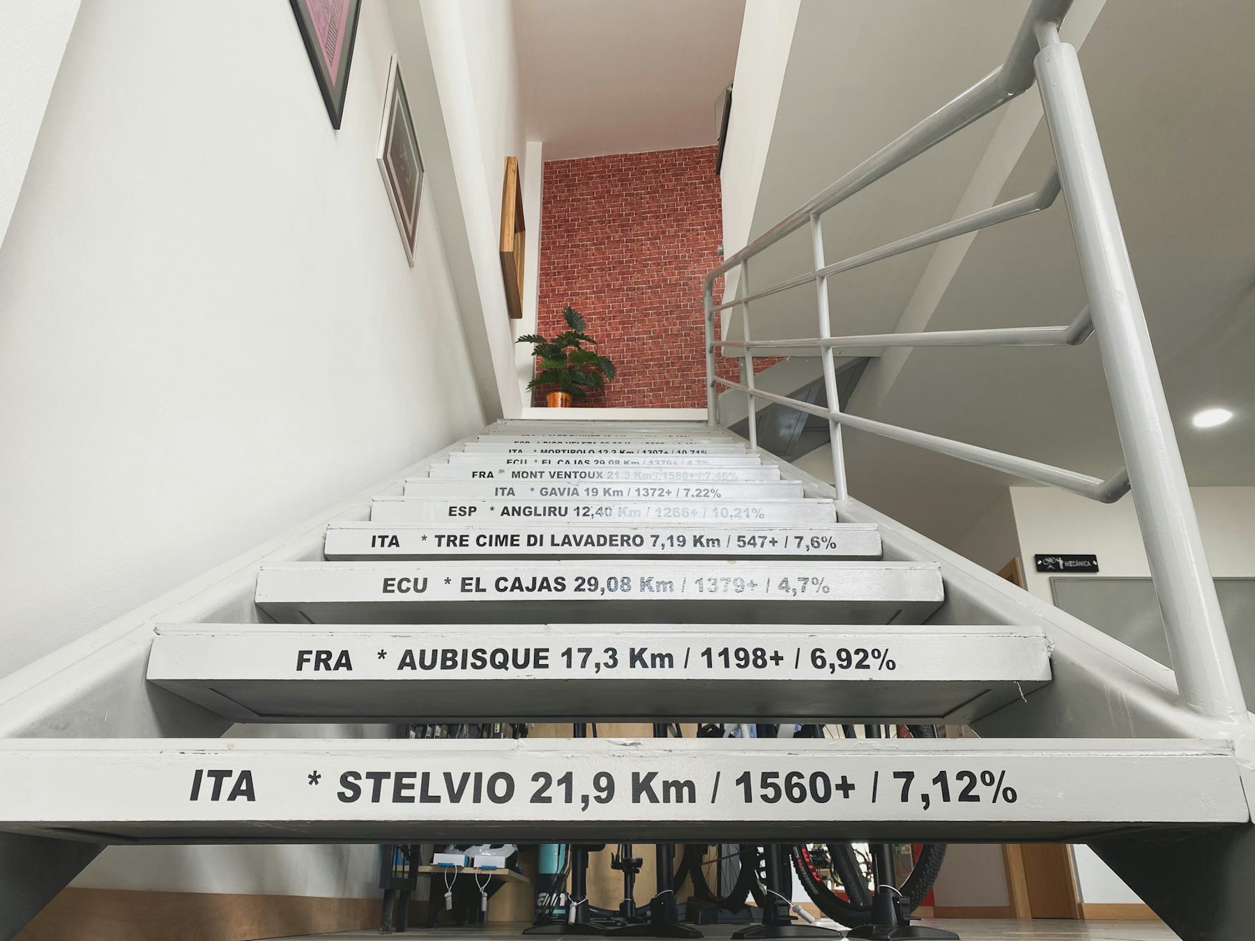 velodrom ecuador store