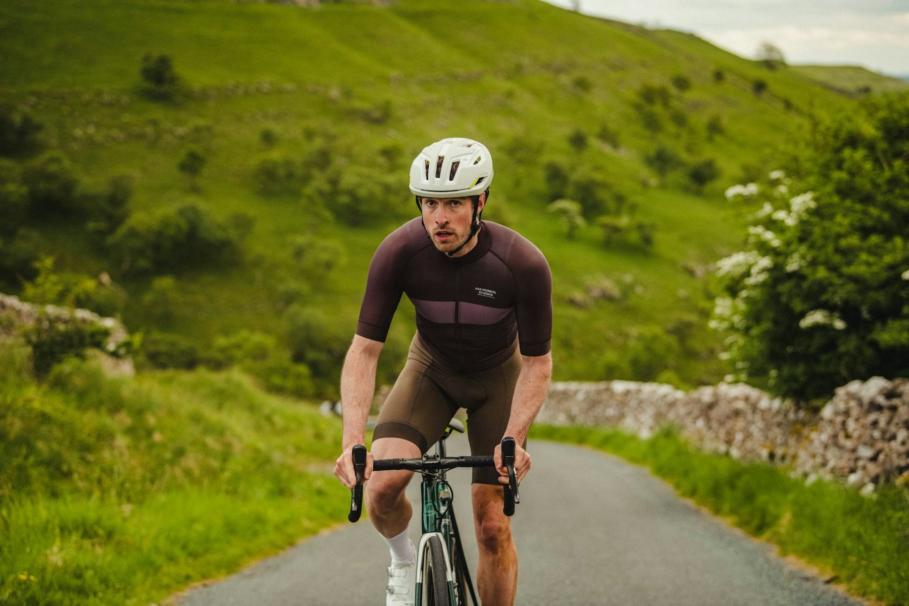 pas normal solitude collection