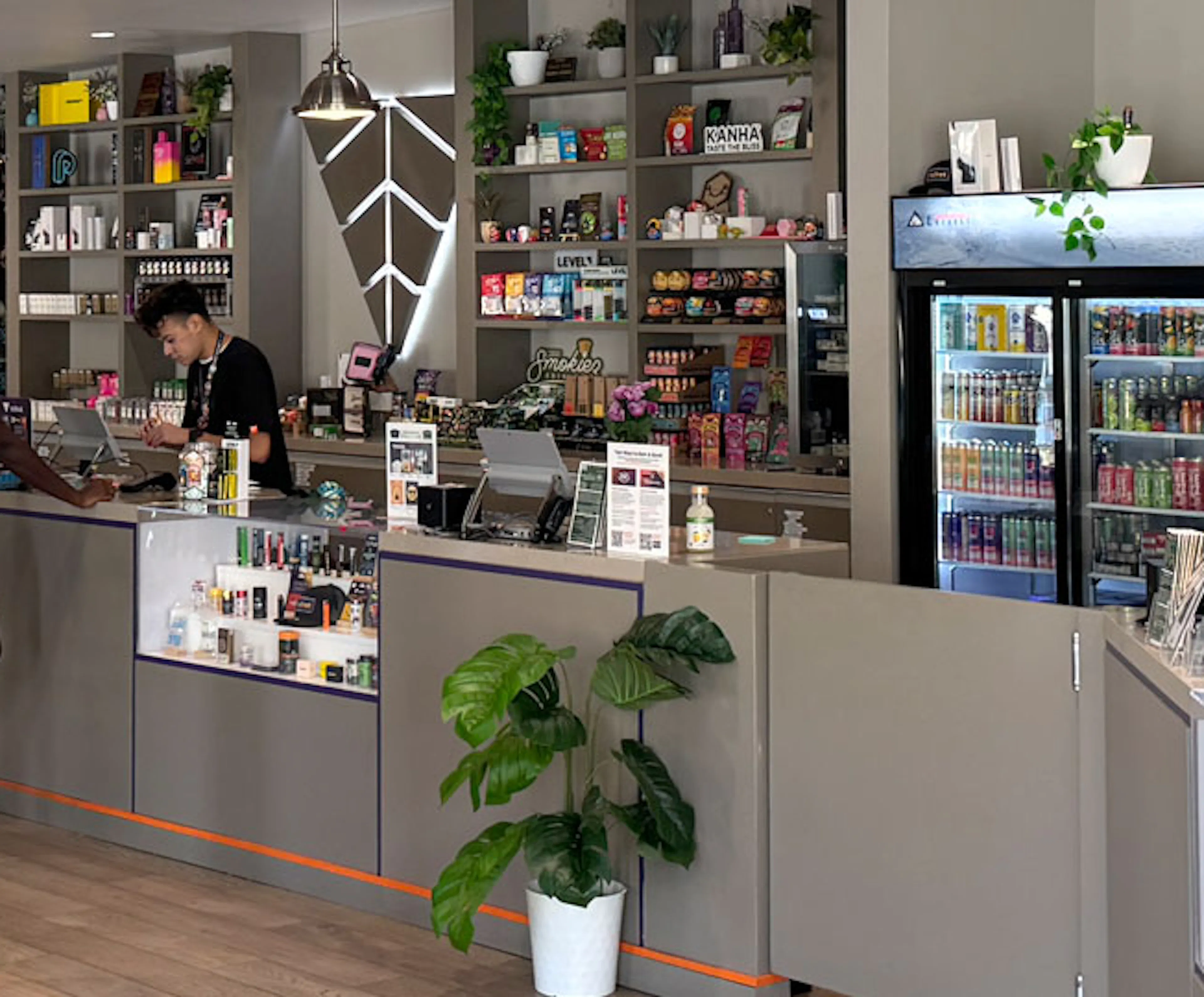 Best Eagle Rock Weed Dispensary: Visit Velvet Cannabis