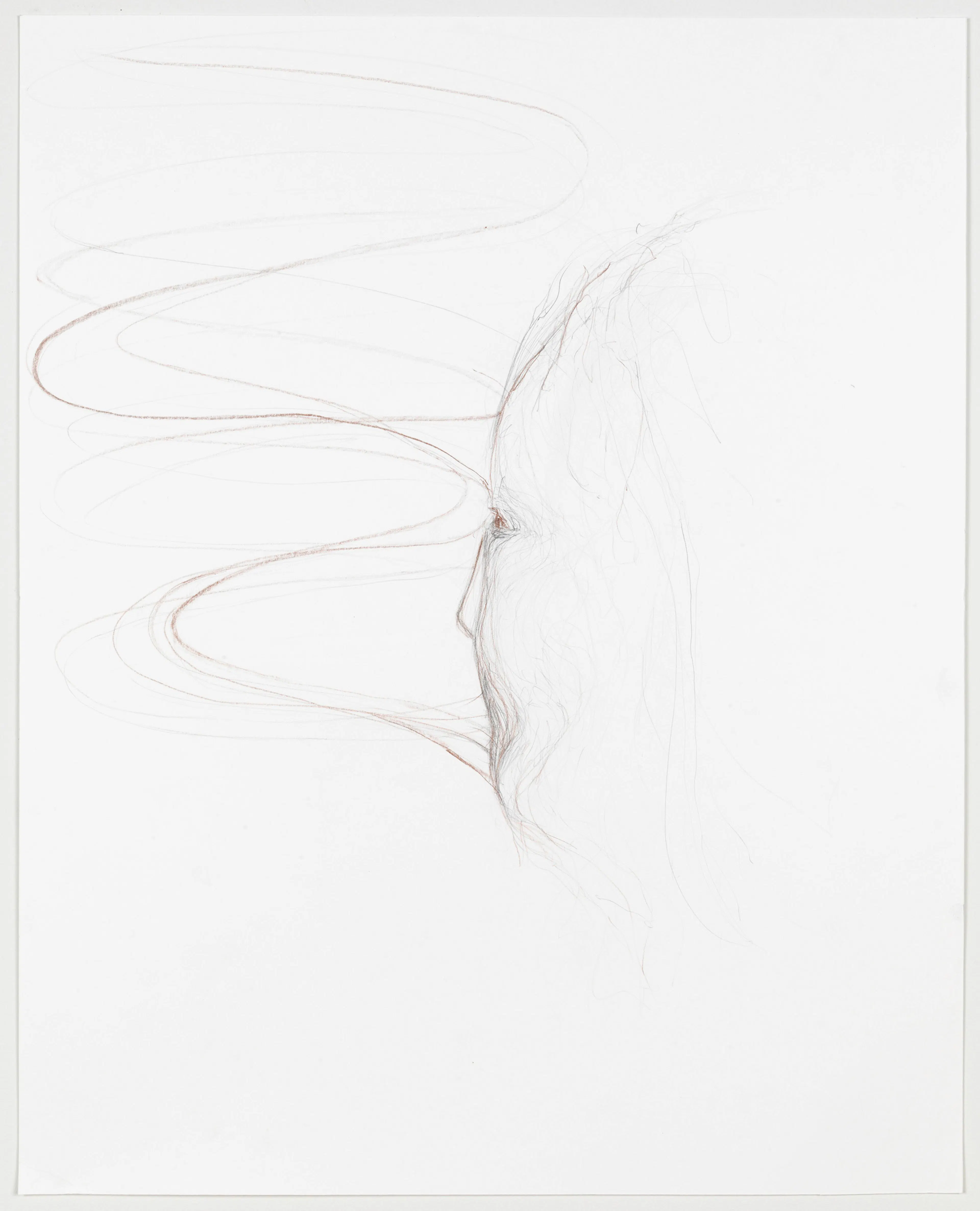 ENRICO DAVID
Untitled, 2011
Colored pencil on paper
24 ¾ x 20 inches
62.5 x 51 cm
DAVZ 73