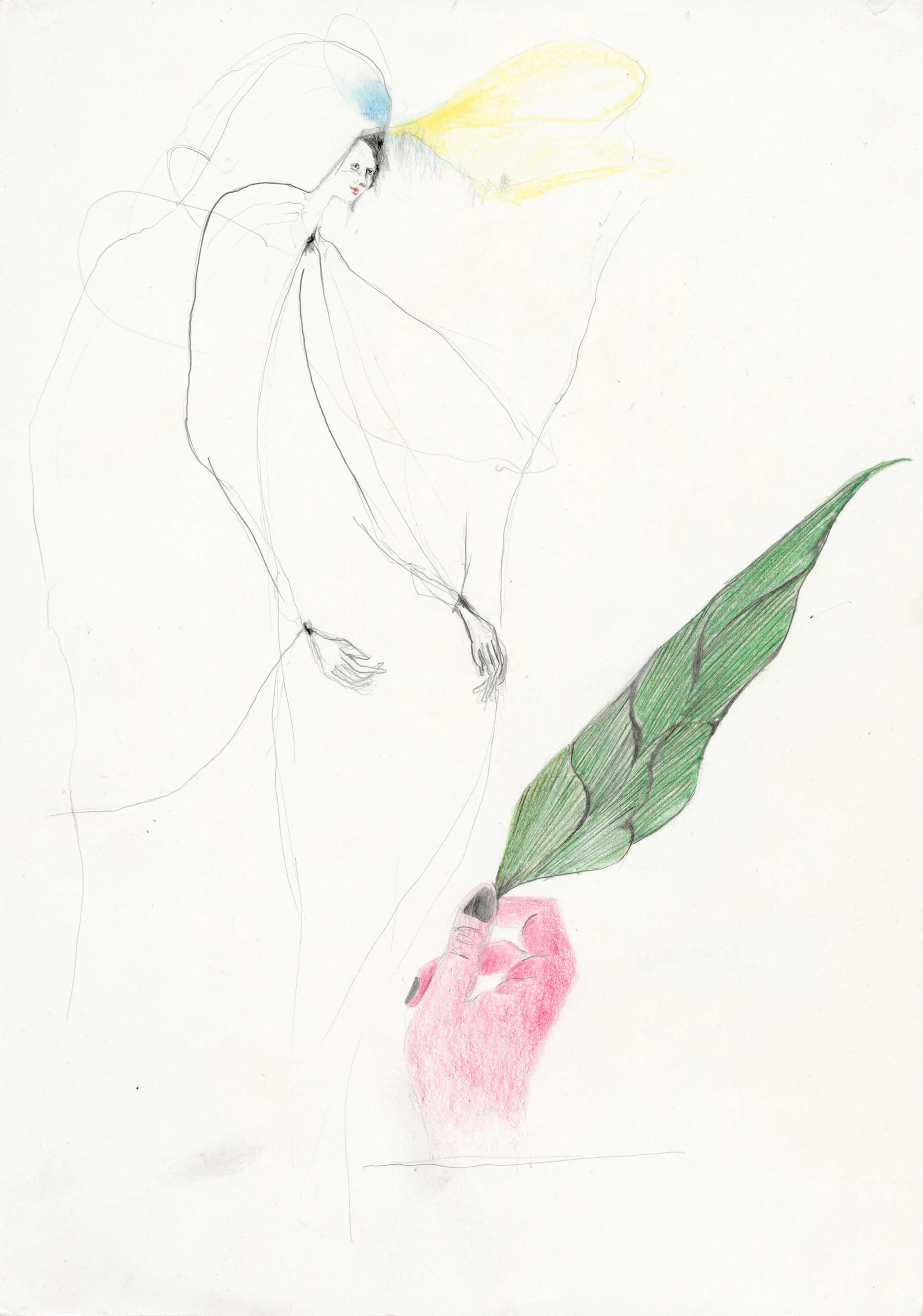 ENRICO DAVID
Untitled (Leaf), 2021
Colored pencil, pencil on paper
16 ¼ x 11 ½ inches
41.5 x 29 cm
DAVZ 183