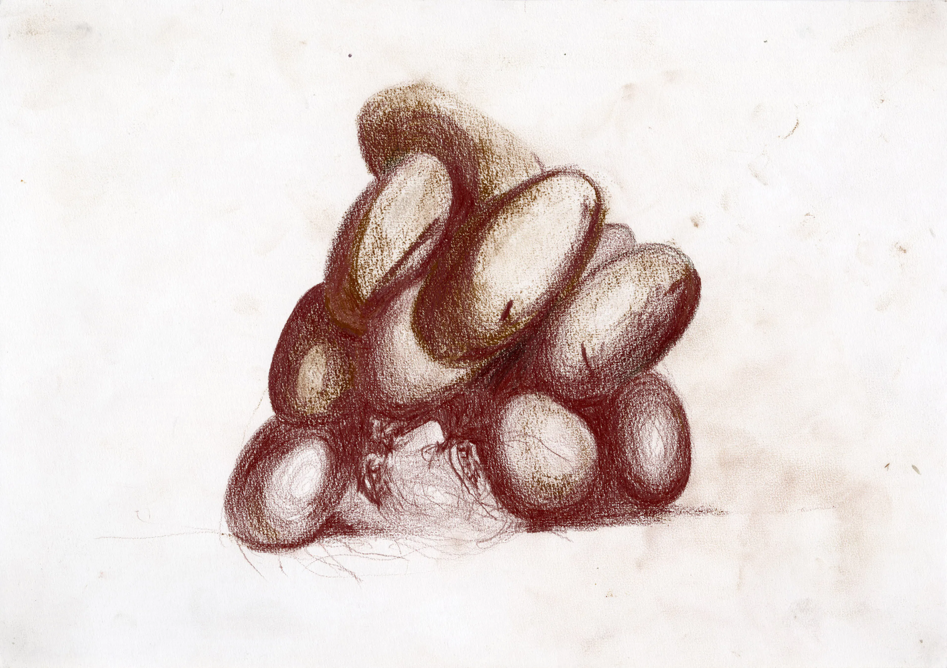 ENRICO DAVID
Untitled (Charles Jones), 2022
Colored pencil on paper
11 ½ x 16 ¼ inches
29 x 41.5 cm
DAVZ 182