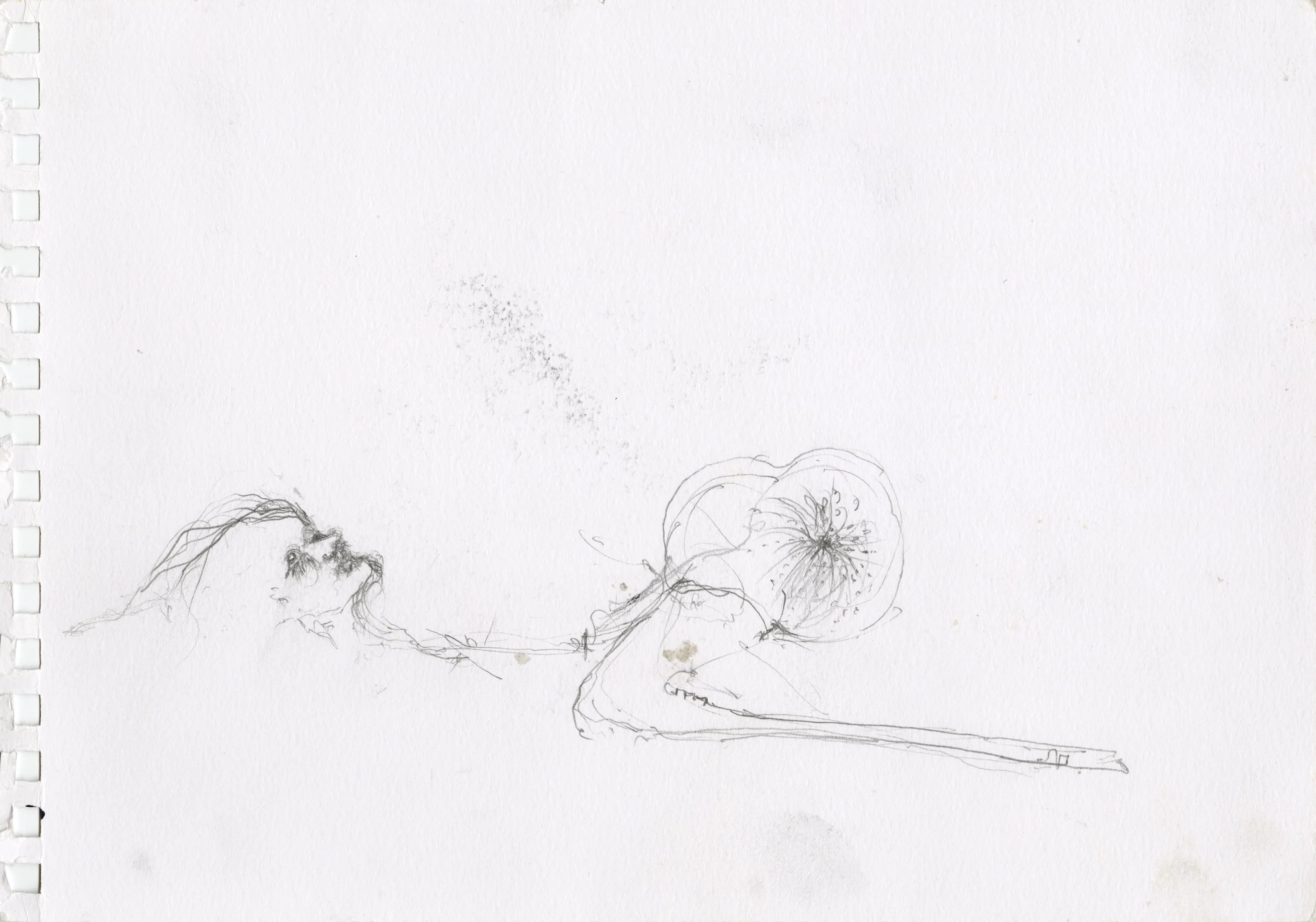ENRICO DAVID
Untitled, 2008
Pencil on paper
8 ¼ x 11 ½ inches
21 x 29.5 cm
DAVZ 195