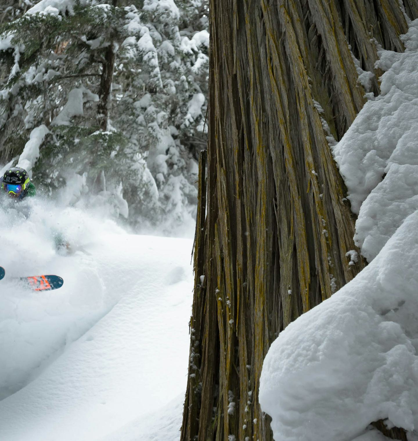 Snowsports
