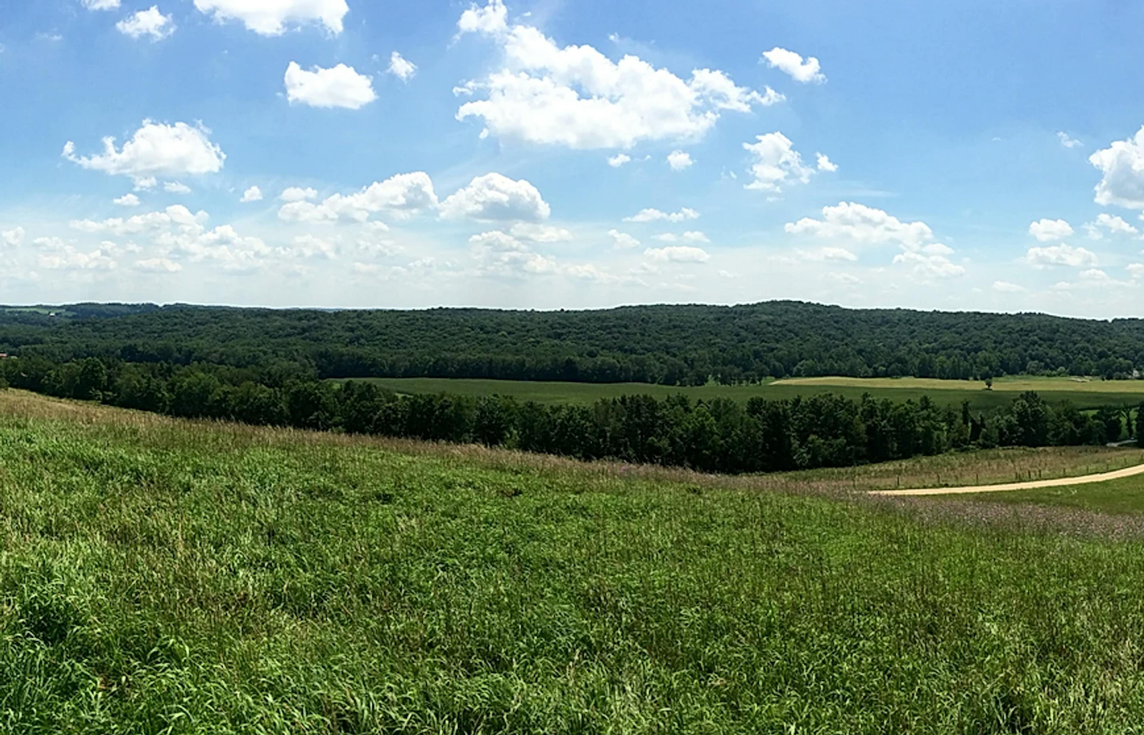 A Meadow in Richland County Ohio