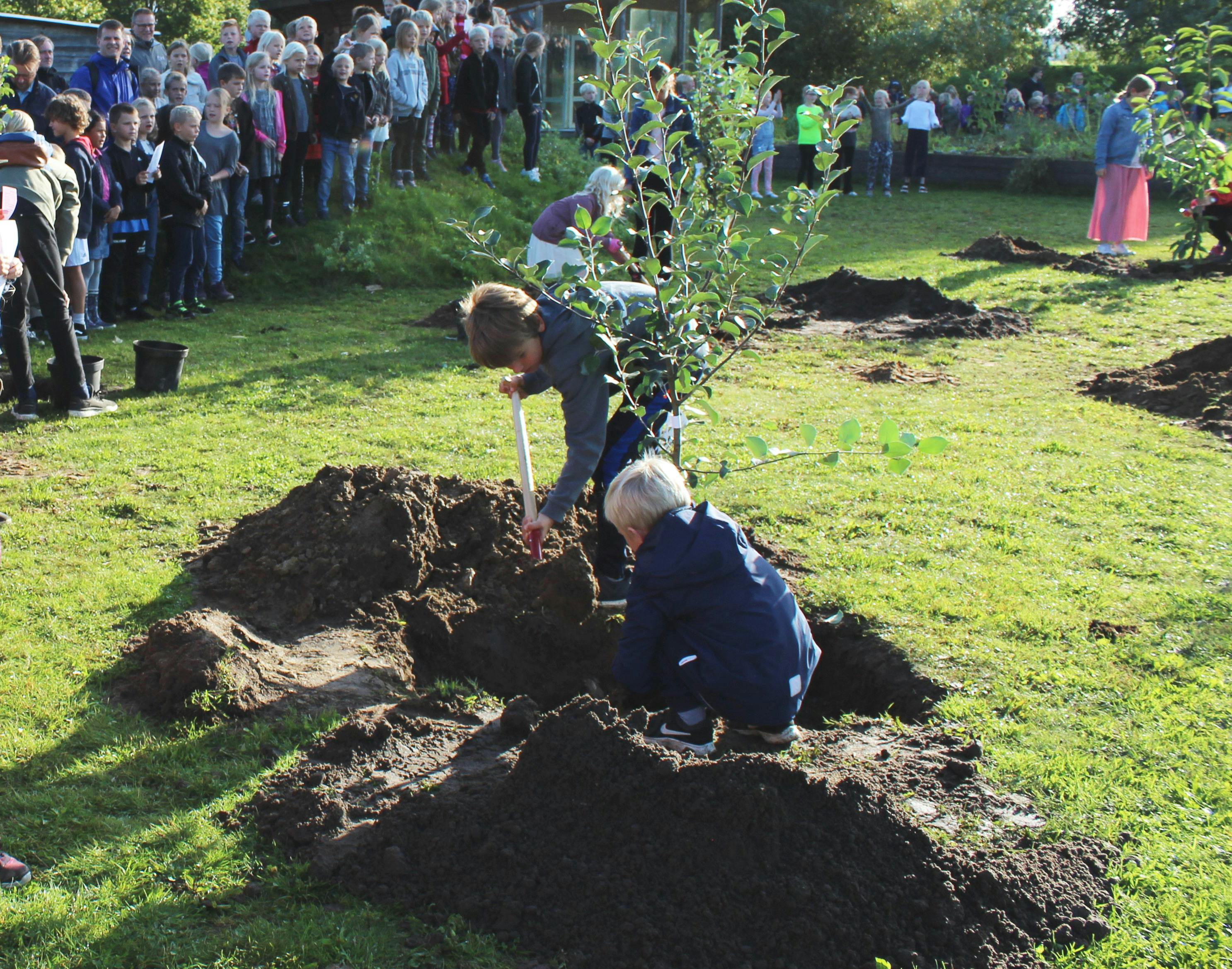 Elever fra Skæring Skole nord for Aarhus planter træer til skolens egen helt nye skov. Foto: Zitha Susanne Olsen
