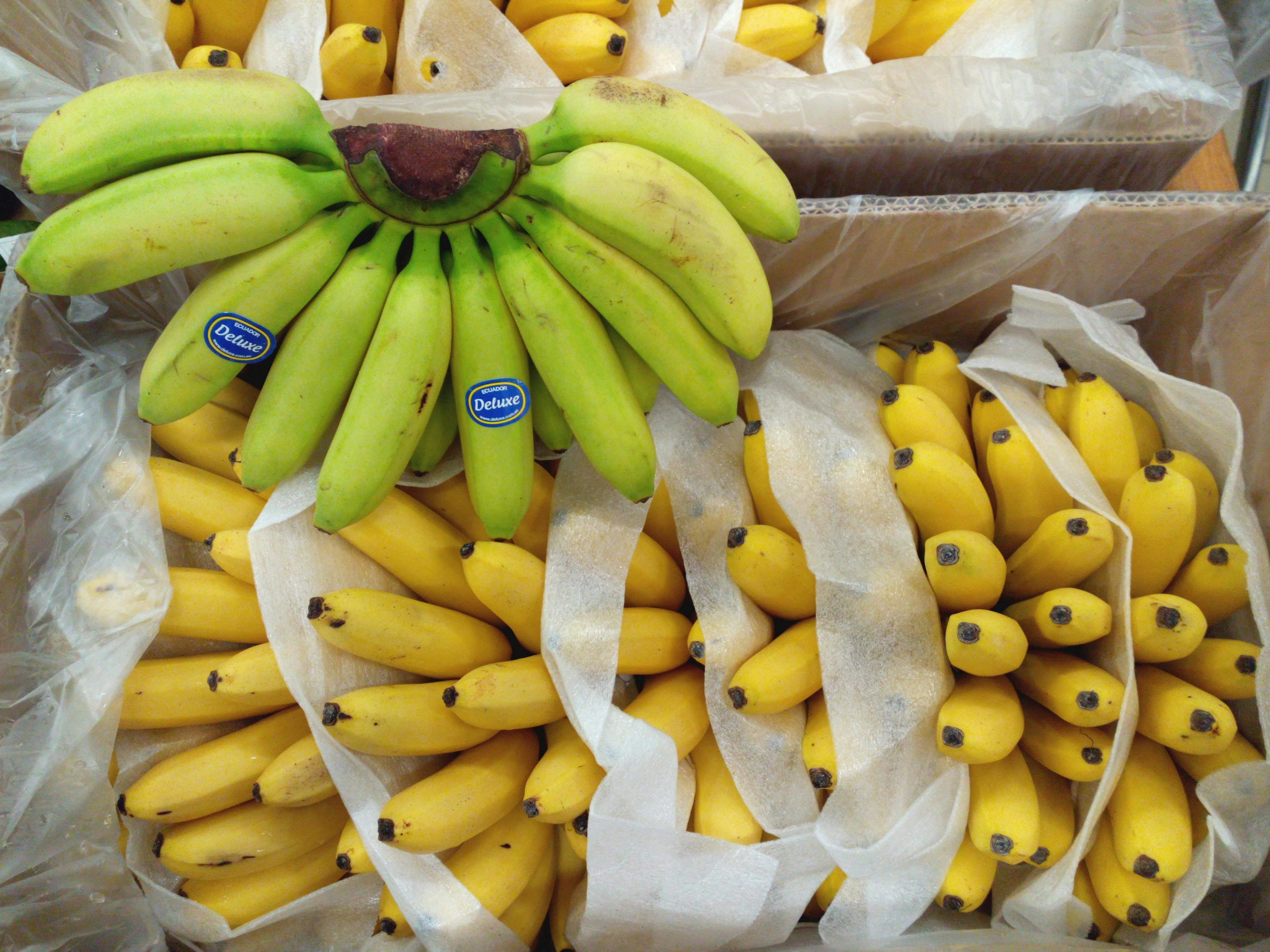 Danske supermarkeder dropper konventionelle bananer for at undgå sprøjtegiften chlorpyrifos. Foto: perriscope CCBY