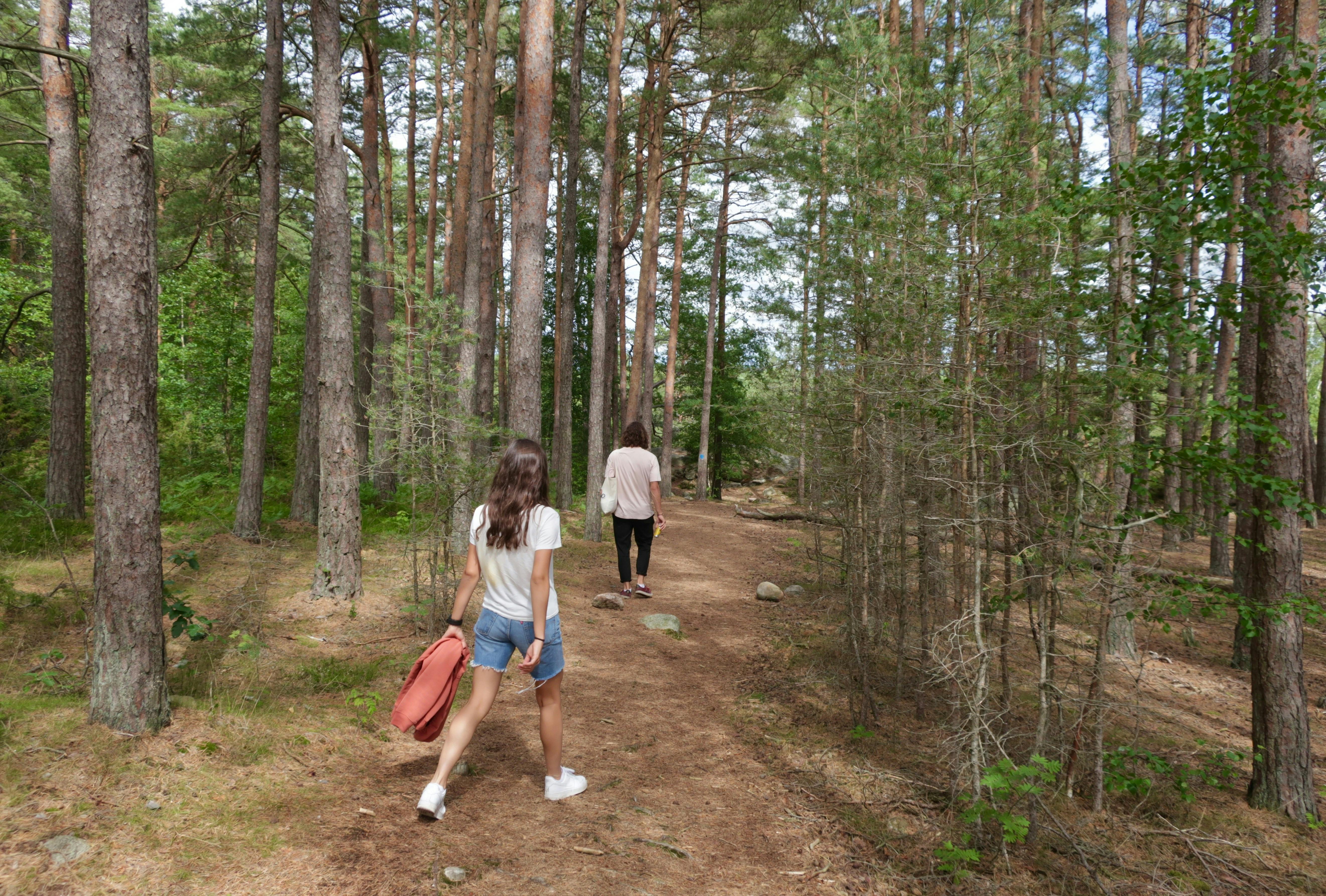 En ny, lang vandrerute skal give vandrere en bedre måde at opleve Danmarks natur på. Foto: Mats Hagwell