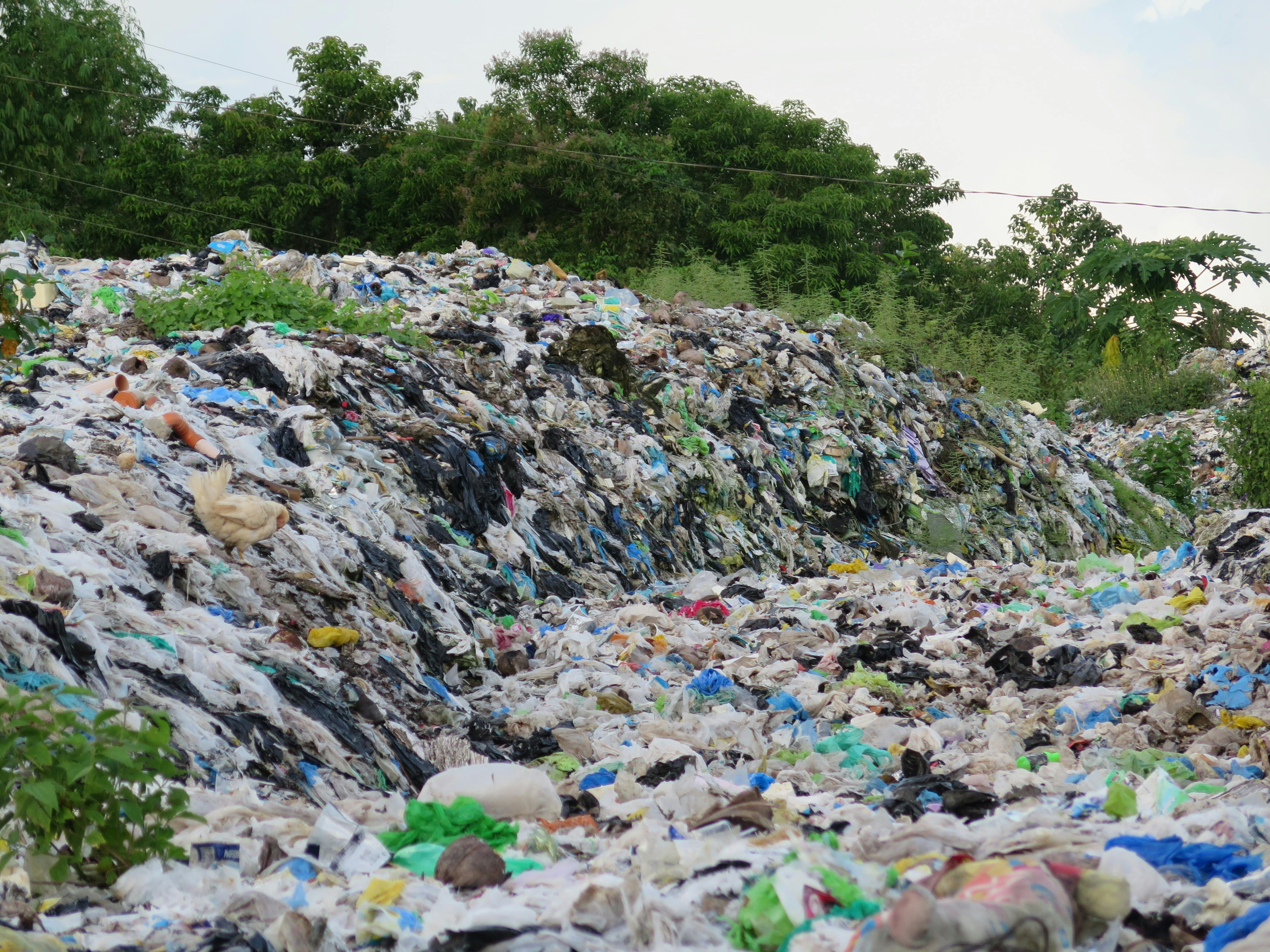 Danmark har et stort forbrug, som skaber en kæmpe mængde affald. Vi ligger i den helt høje ende, når det kommer til, hvor meget skrald og affald vi producerer. Foto: CCBY The Reef-World Foundation.  