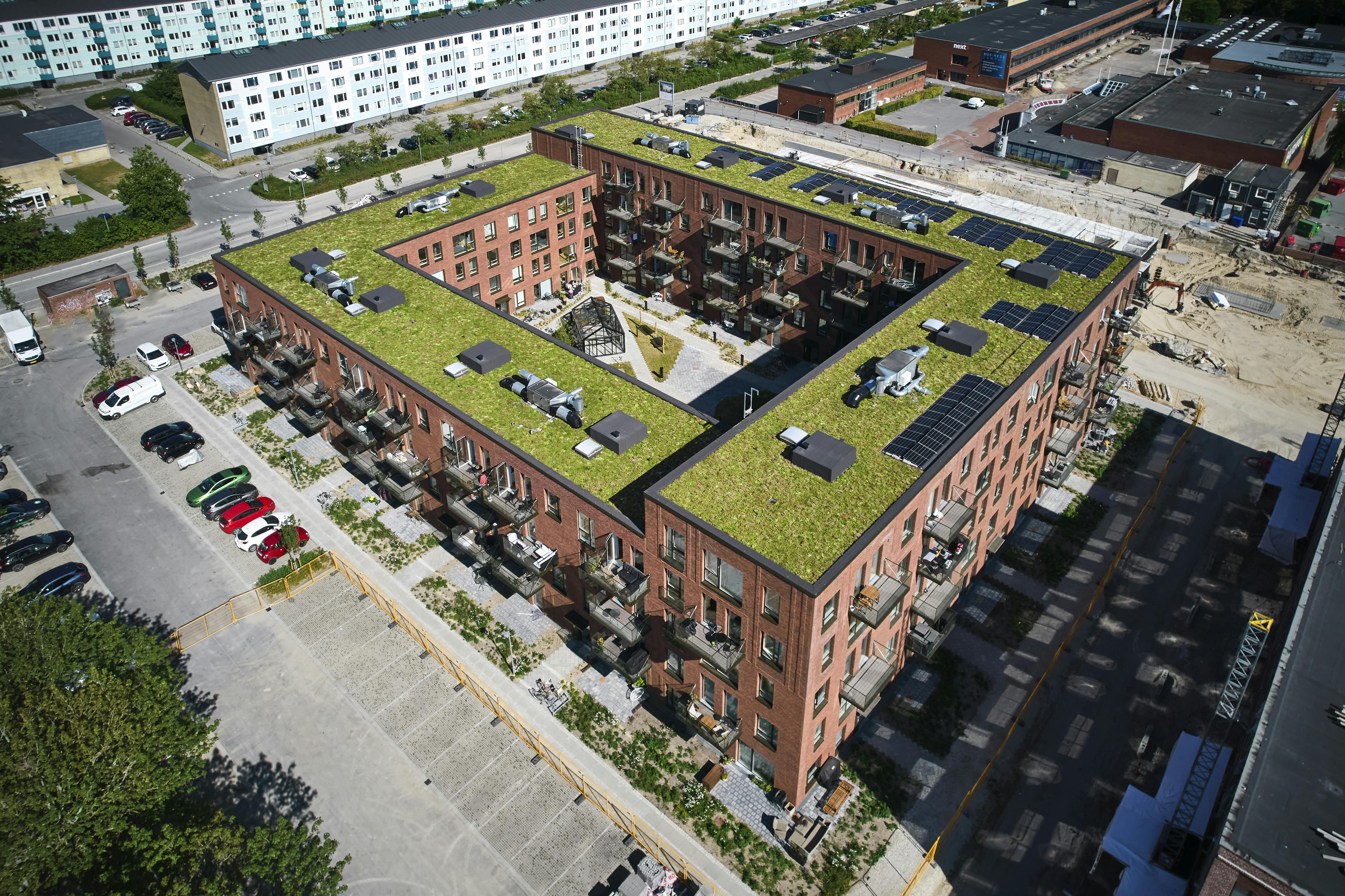 Sedumtage bliver mere og mere populære i forbindelse med etagebyggerier. Foto: Nature Impact.
