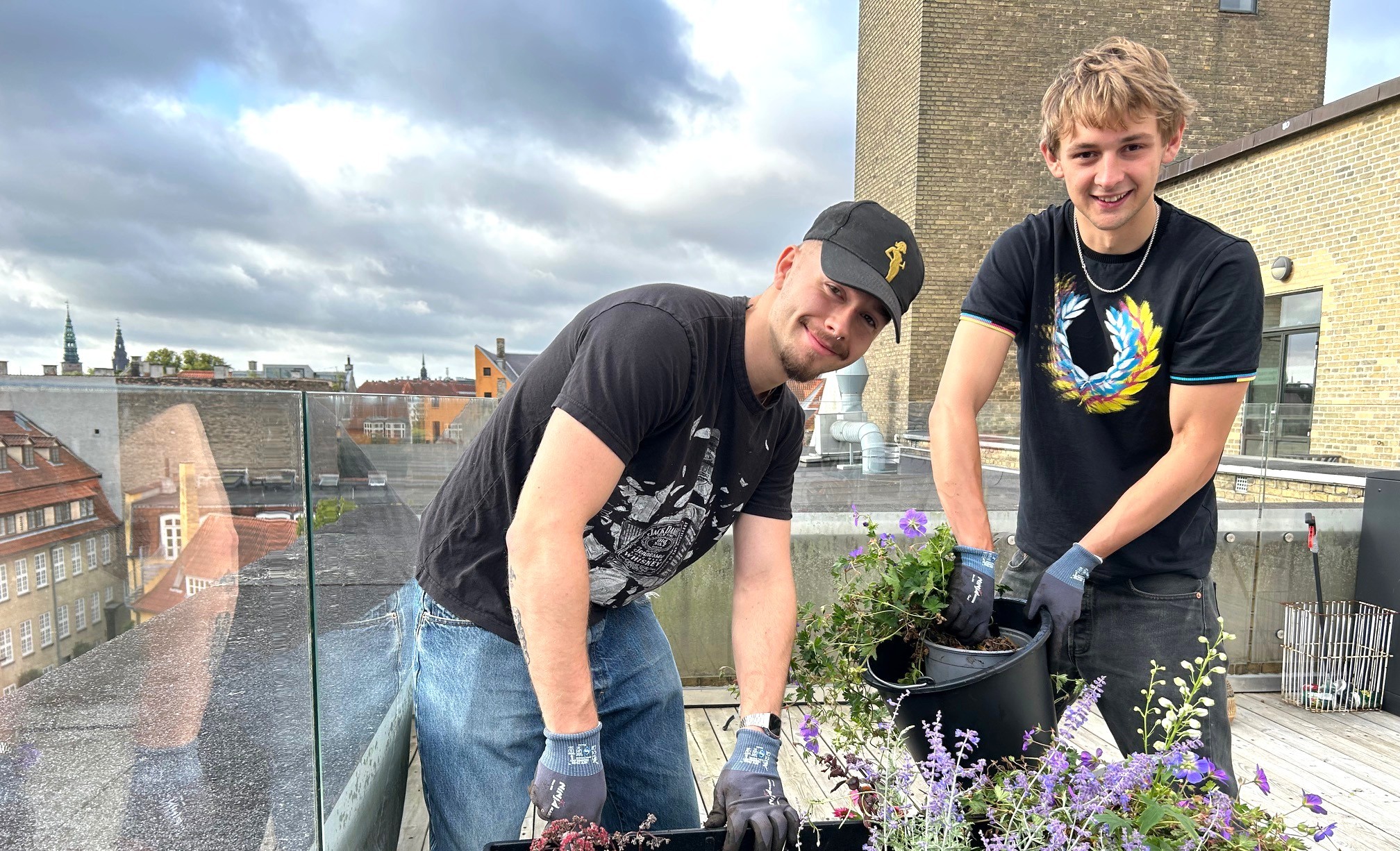 Gymnasievennerne Anker og Asbjørn i fuld sving med at plante bivenlige stauder i plantekasserne på gymnasiets tagterrasse. Foto: Anne Burlund