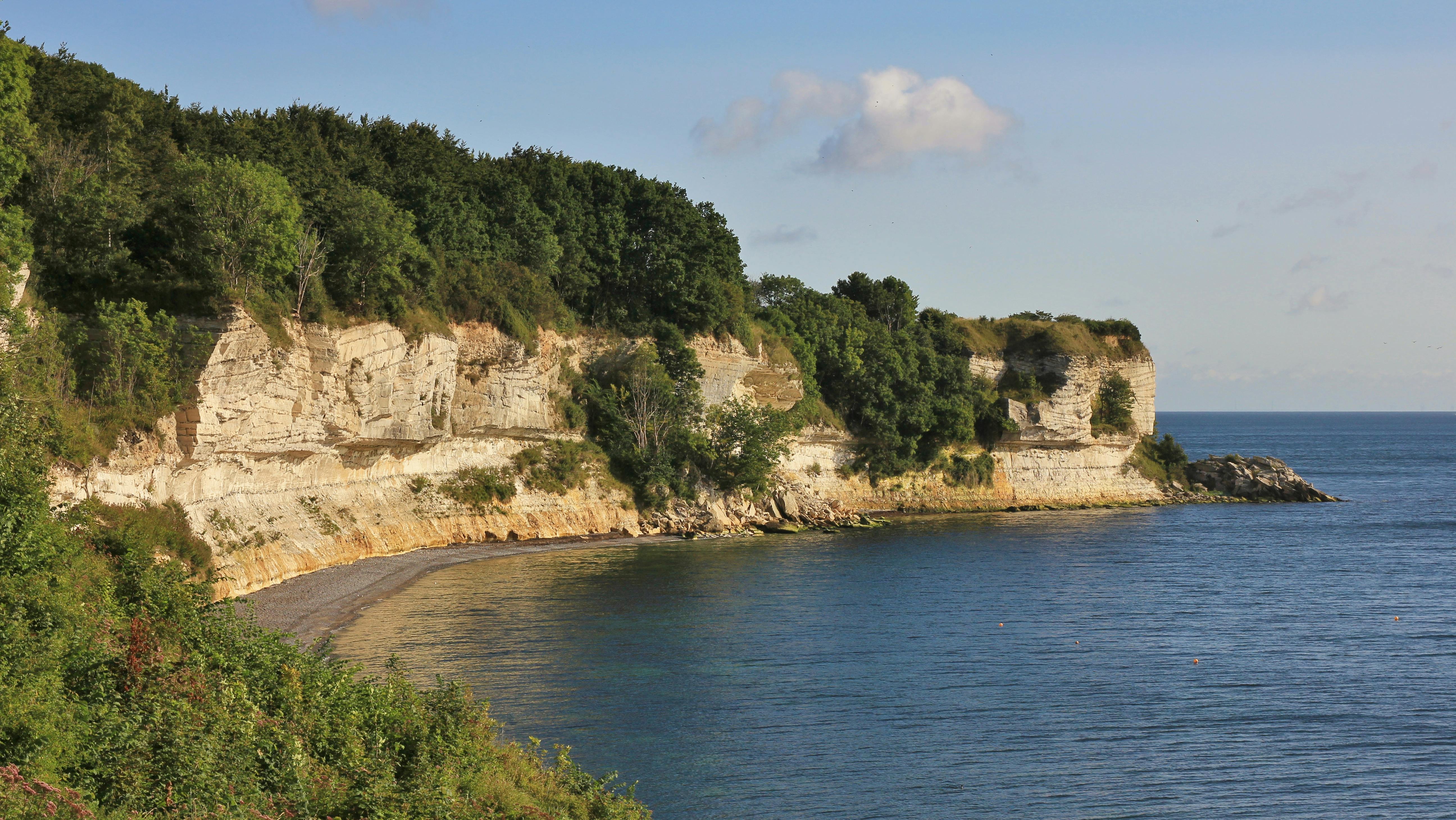 Stevns Klint er et af de få danske naturområder på UNESCOs Verdensarvsliste. Foto: iStock/perreten